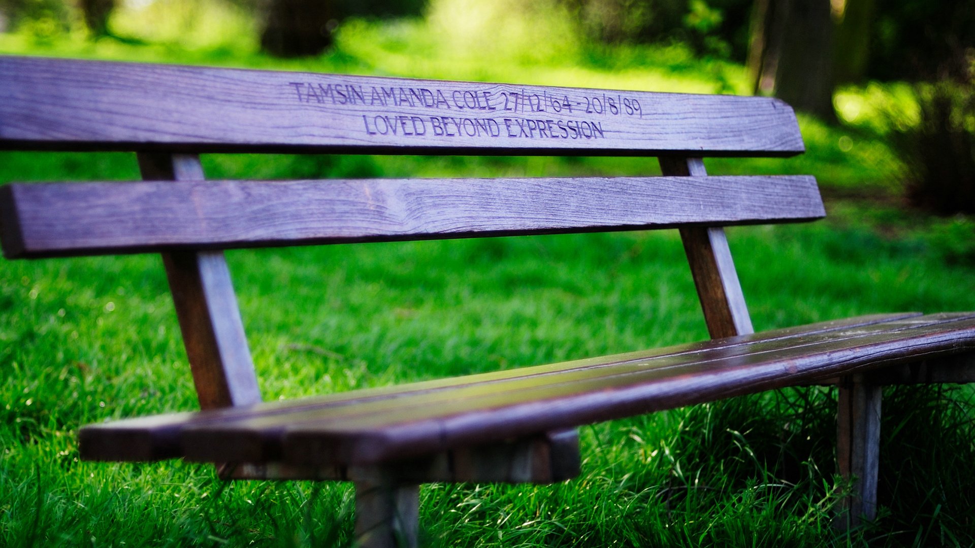 爱情美图,唯美温馨,爱的印记