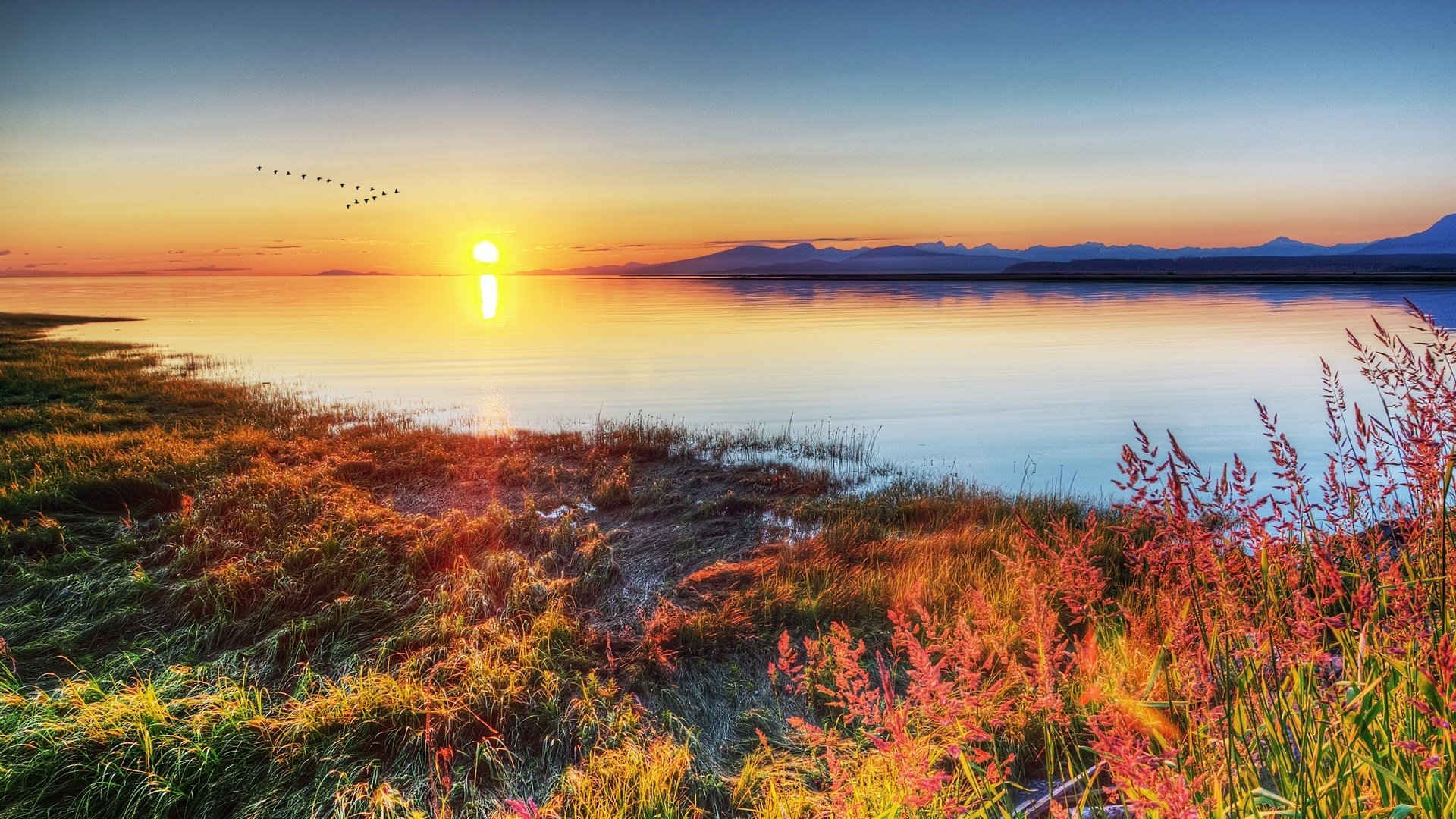 风景,落日余晖,儿童桌面专用