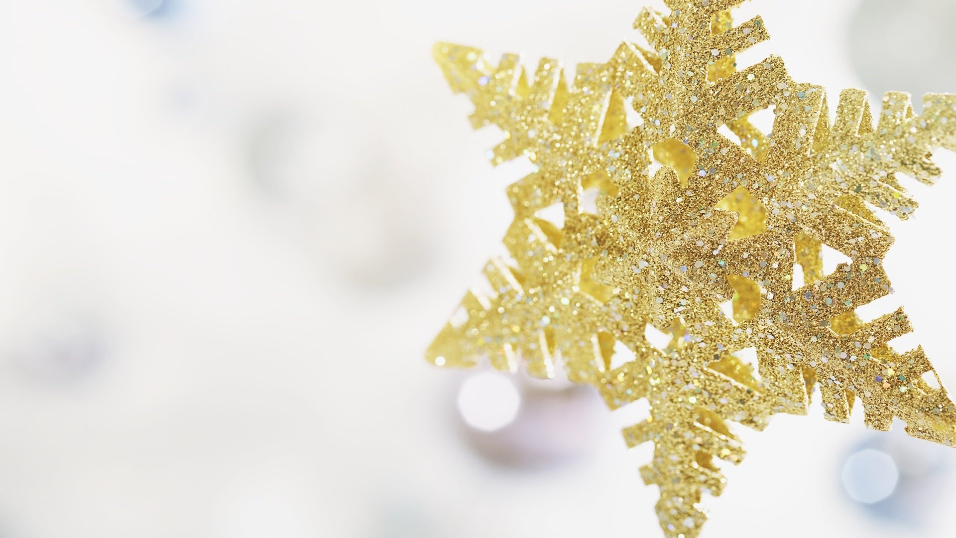 小清新,静物写真,3月7日,儿童桌面专用