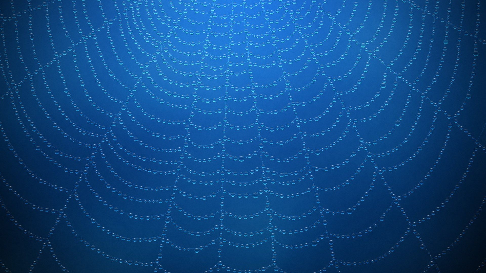 小清新,清新淡雅,蛛网,3月1日