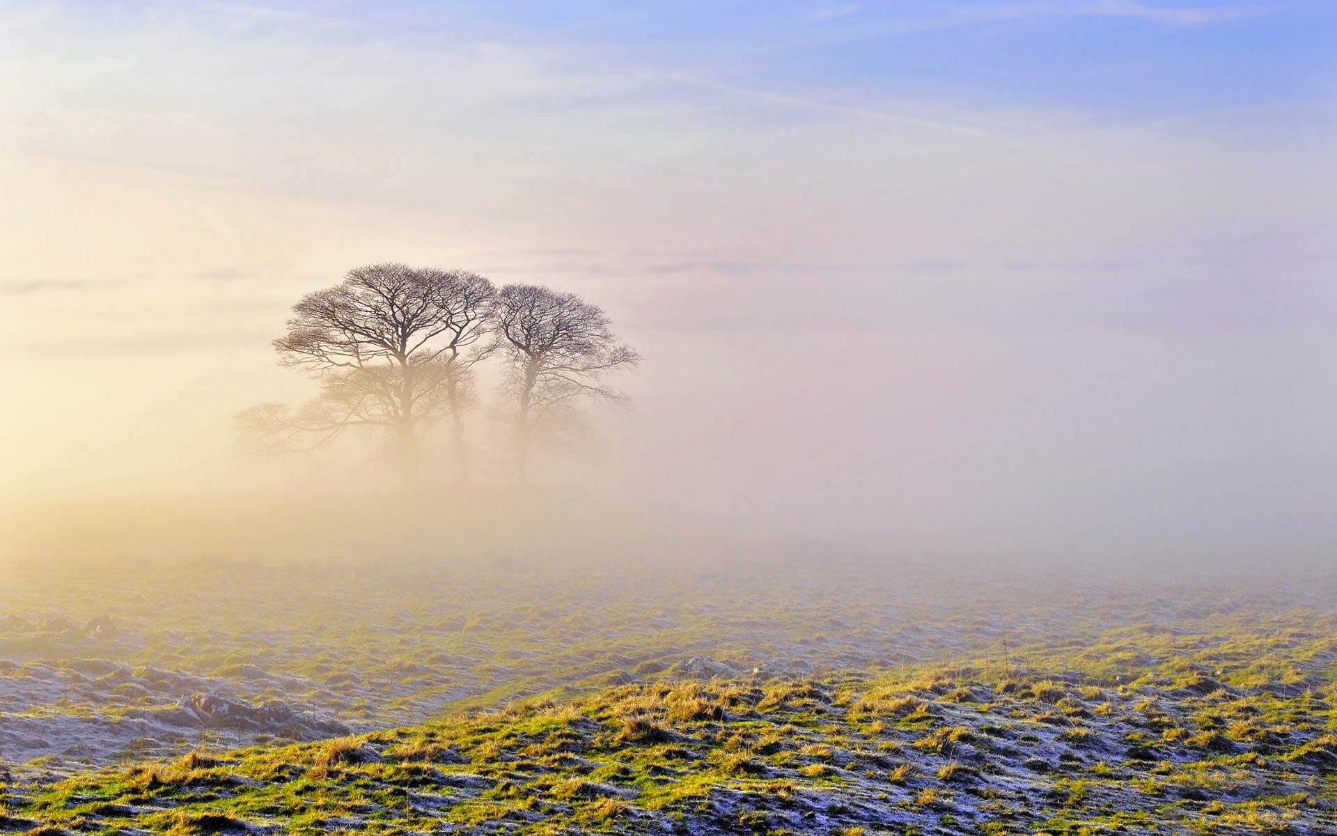 小清新,舒缓压力,3月7日,儿童桌面专用