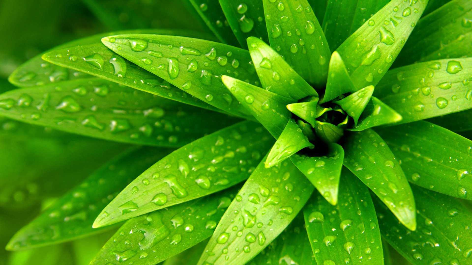 小清新,护眼壁纸,儿童桌面专用