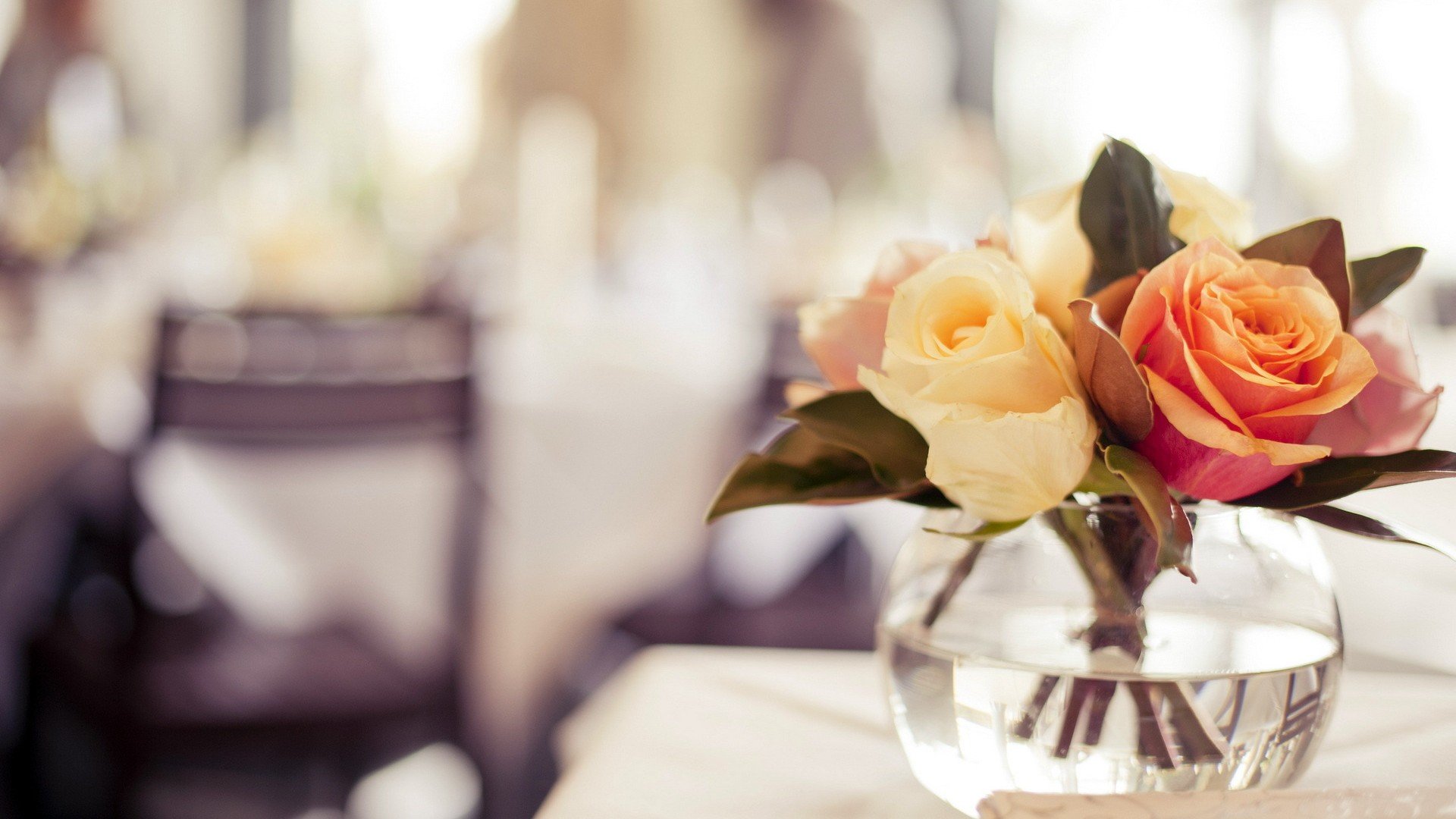 爱情美图,唯美温馨,玫瑰