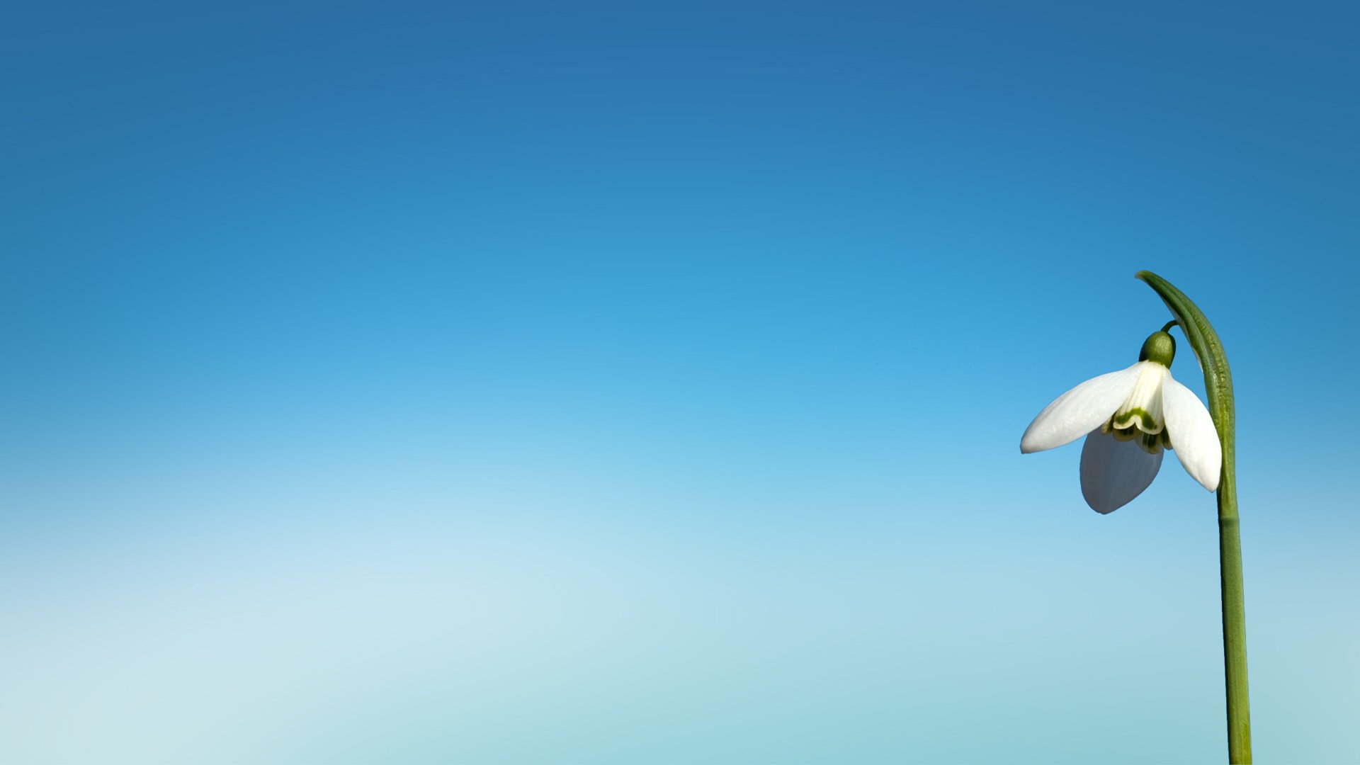 风景,春意盎然,儿童桌面专用