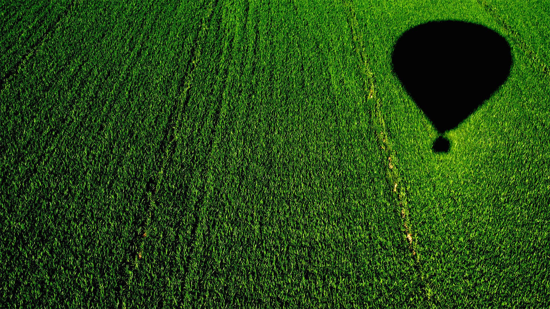 风景,碧绿草原,儿童桌面专用