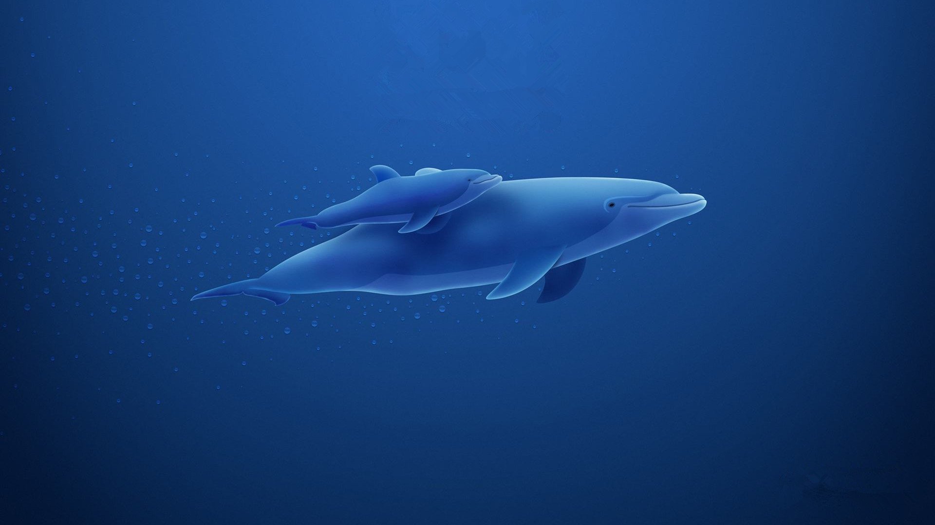 小清新,温馨一刻,海豚,3月5日,儿童桌面专用