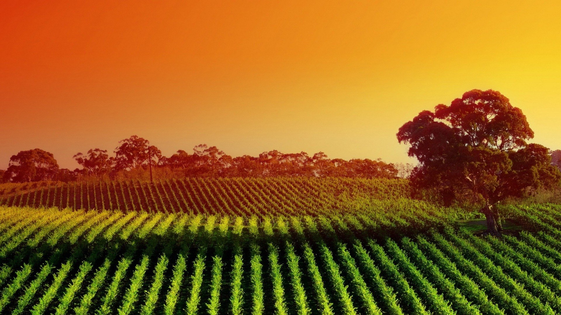 风景,风光,美景,旅游,自然,儿童桌面专用