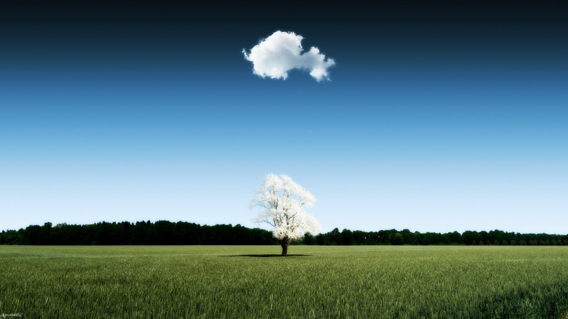 风景,蓝天白云,儿童桌面专用