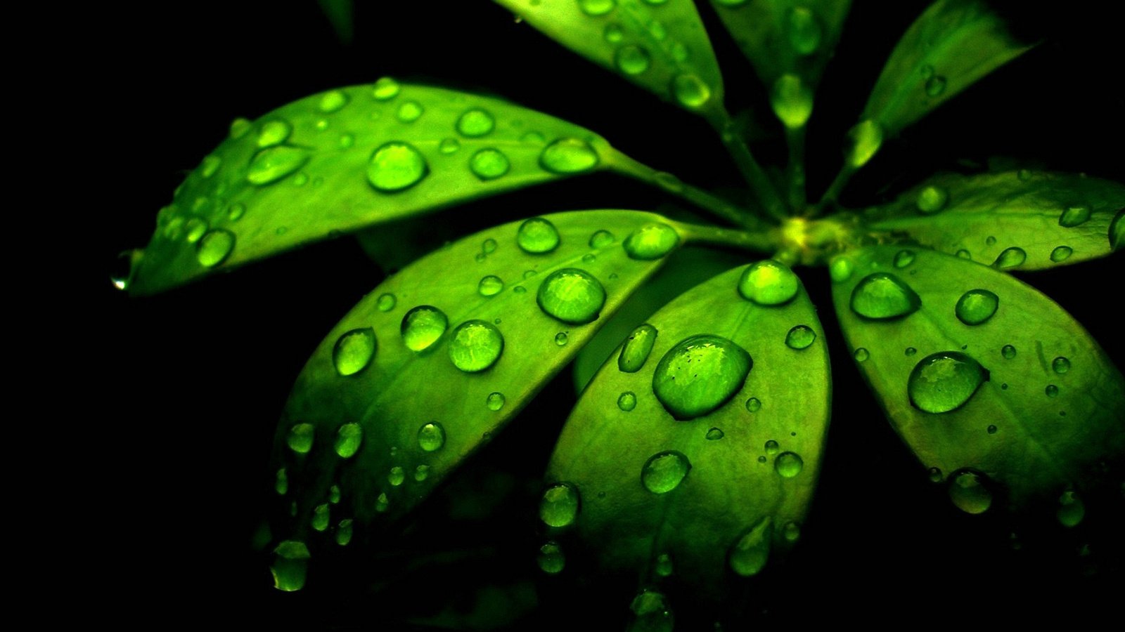 小清新,护眼壁纸,儿童桌面专用