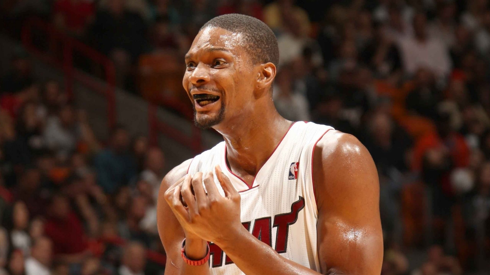 体育,NBA,波什,热火