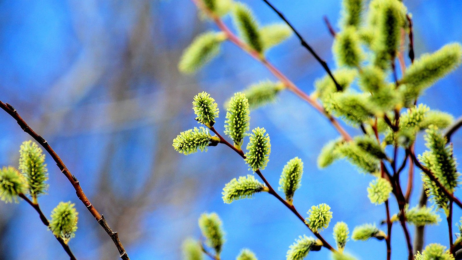 小清新,温馨一刻,儿童桌面专用