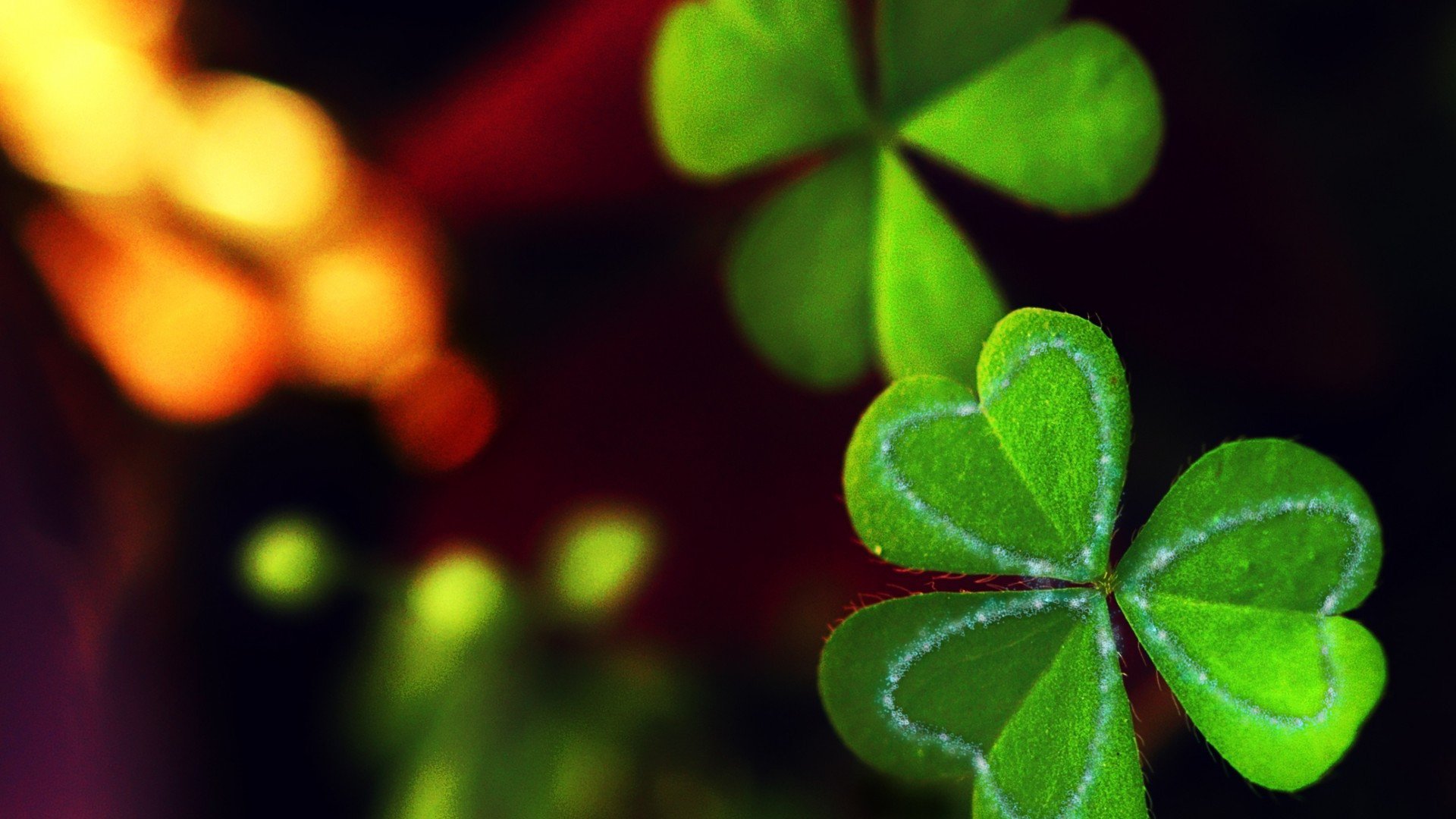 爱情美图,唯美温馨