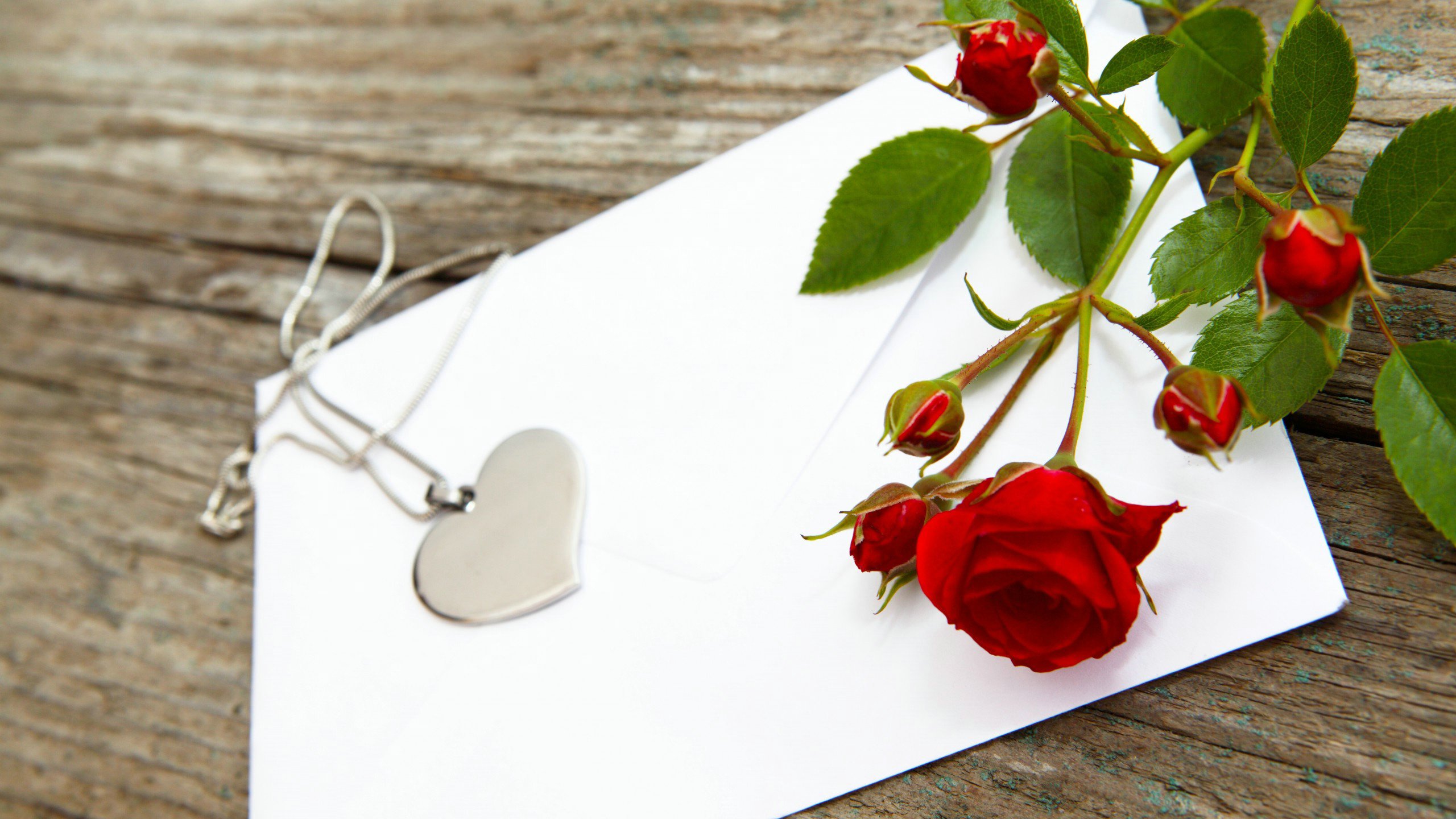 爱情美图,唯美温馨,玫瑰,礼物