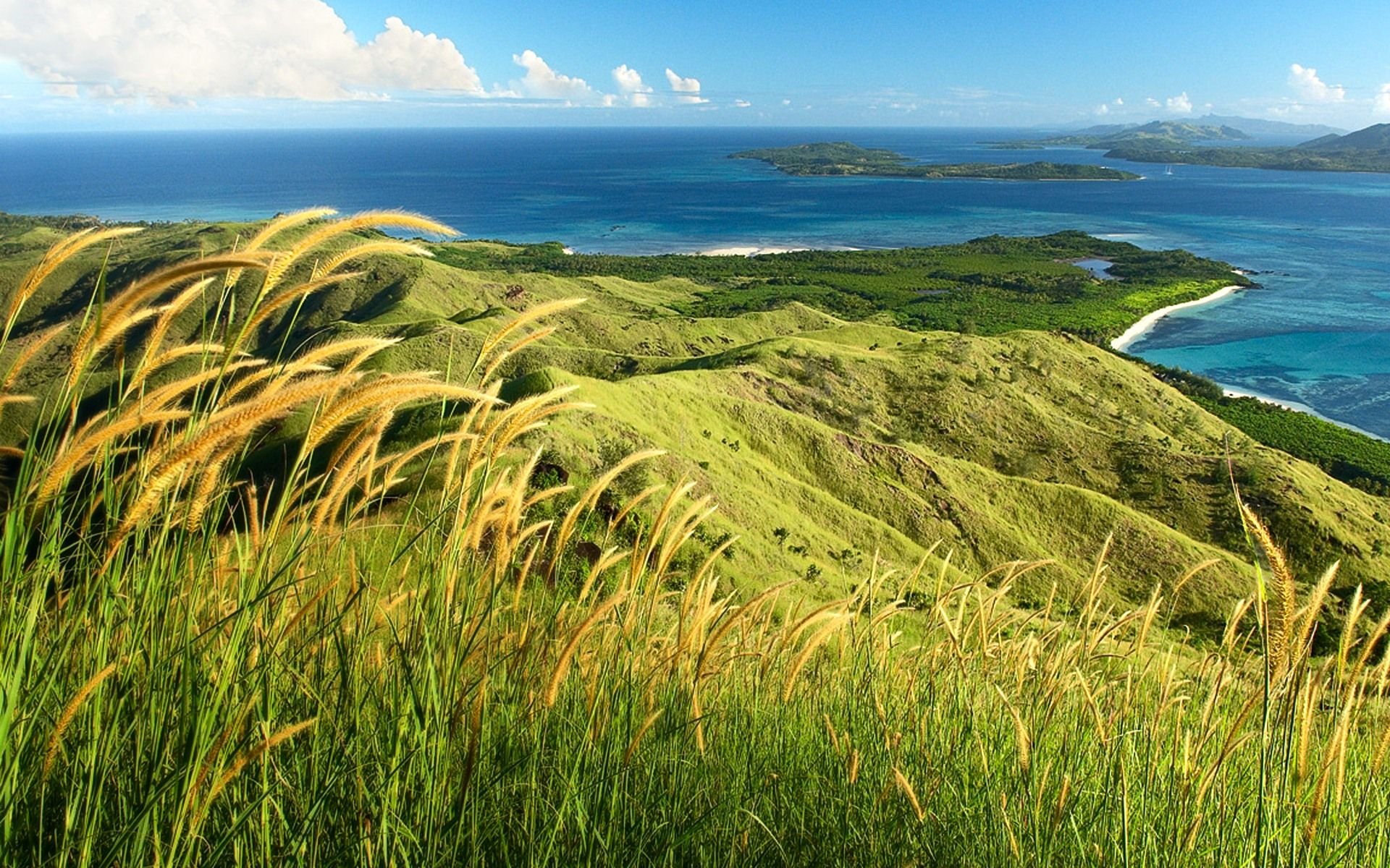 春意盎然,风景,风光,美景,旅游,自然,儿童桌面专用