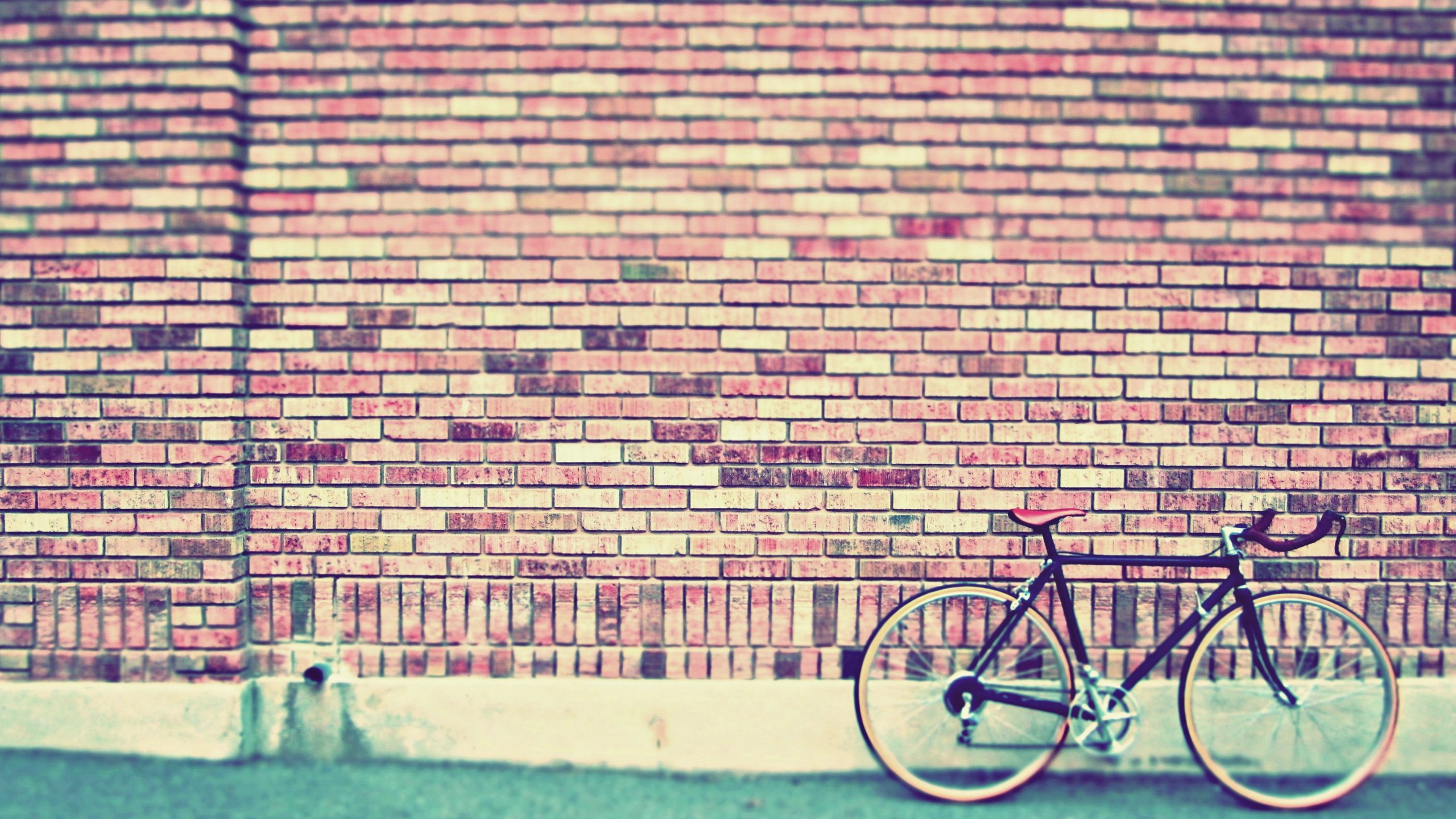 小清新,温馨一刻,儿童桌面专用