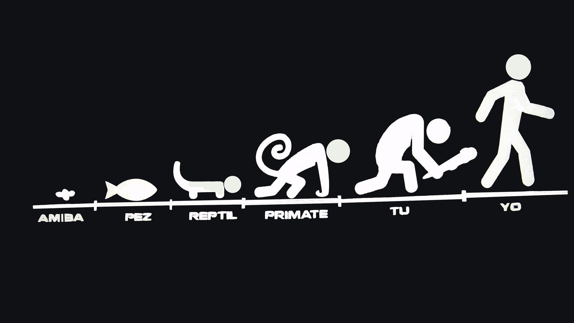 炫酷,设计,简约,趣味,进化,儿童桌面专用