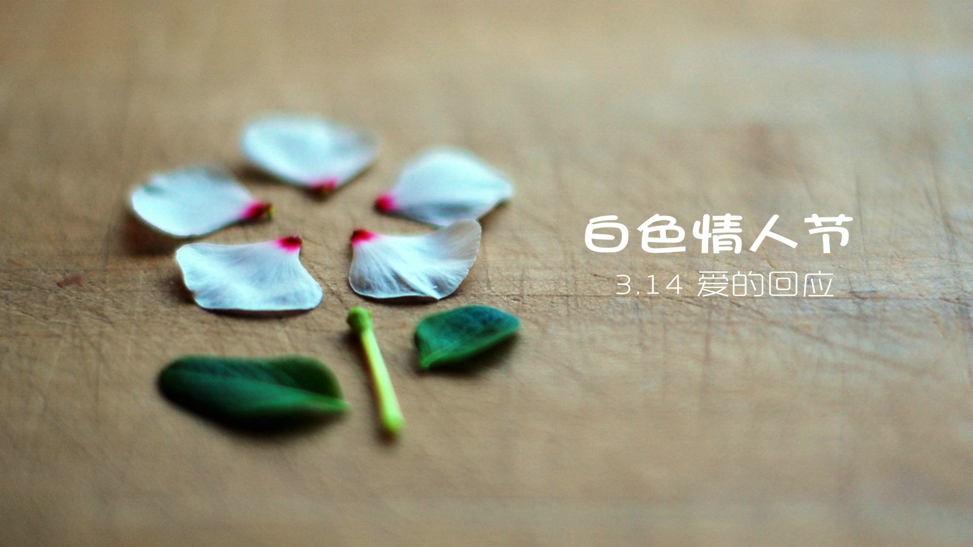 爱情美图,唯美温馨,白色情人节,3.14,3月14日