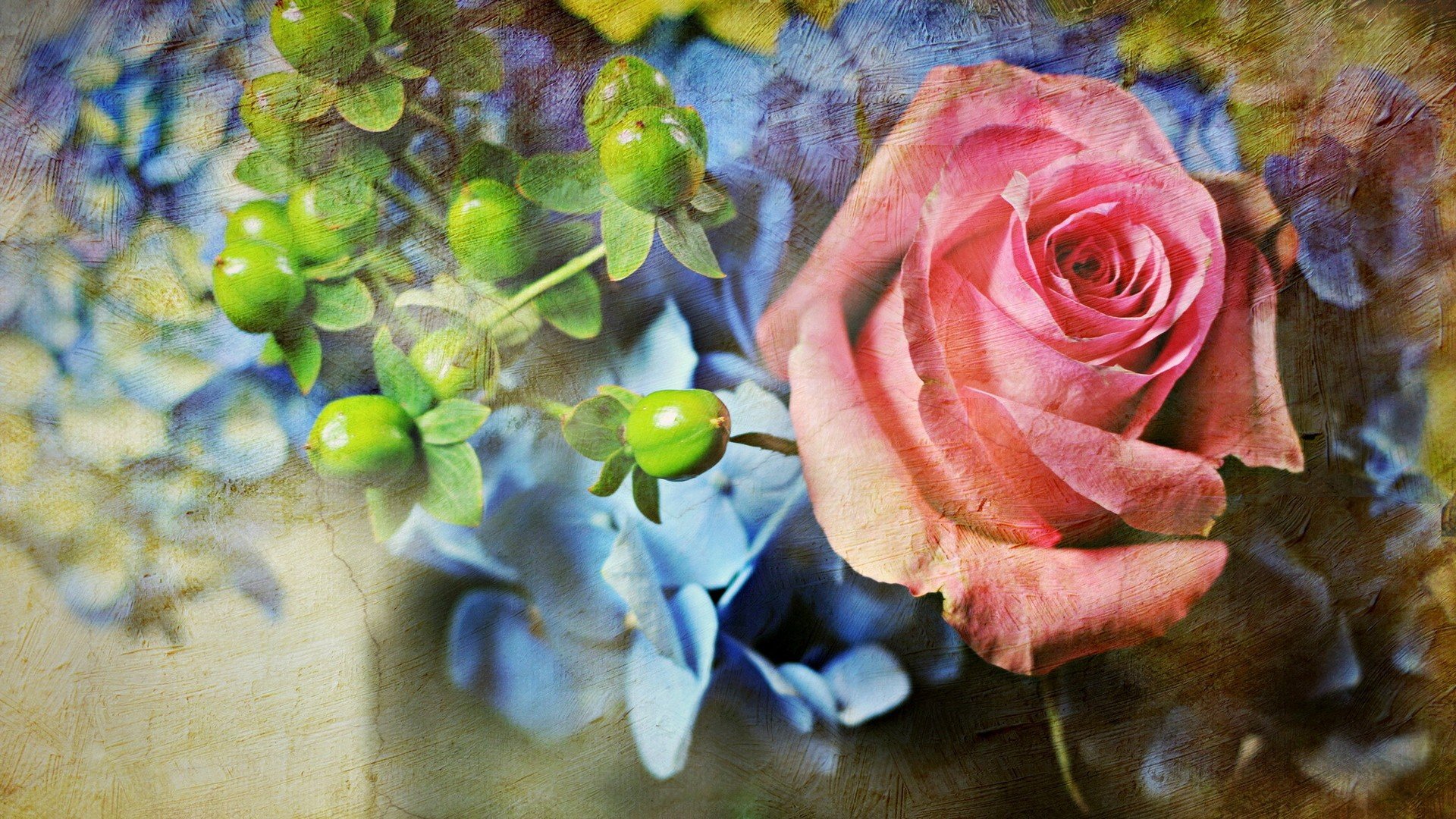 爱情美图,唯美温馨,玫瑰