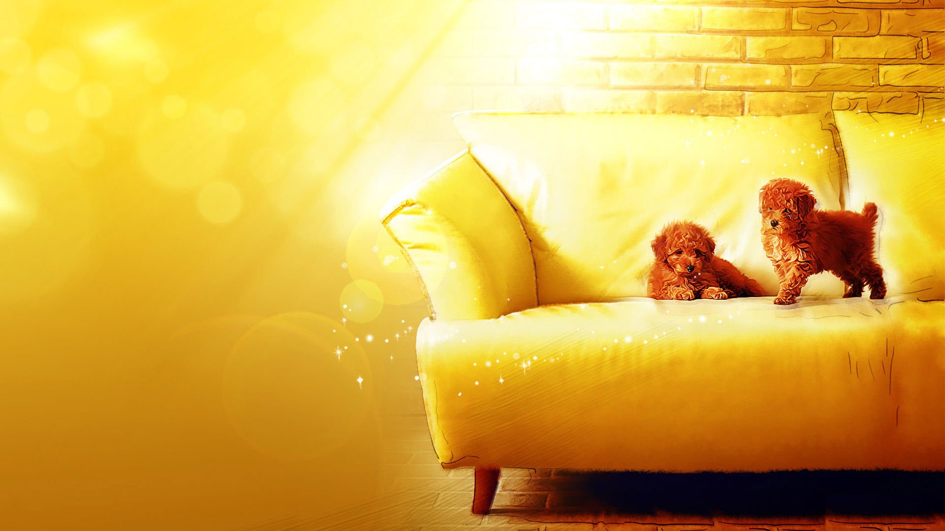 萌宠,汪星人,狗,可爱,卖萌,宠物,儿童桌面专用