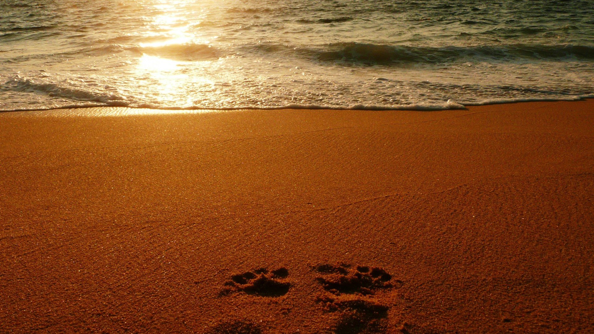 风景,落日余晖,儿童桌面专用