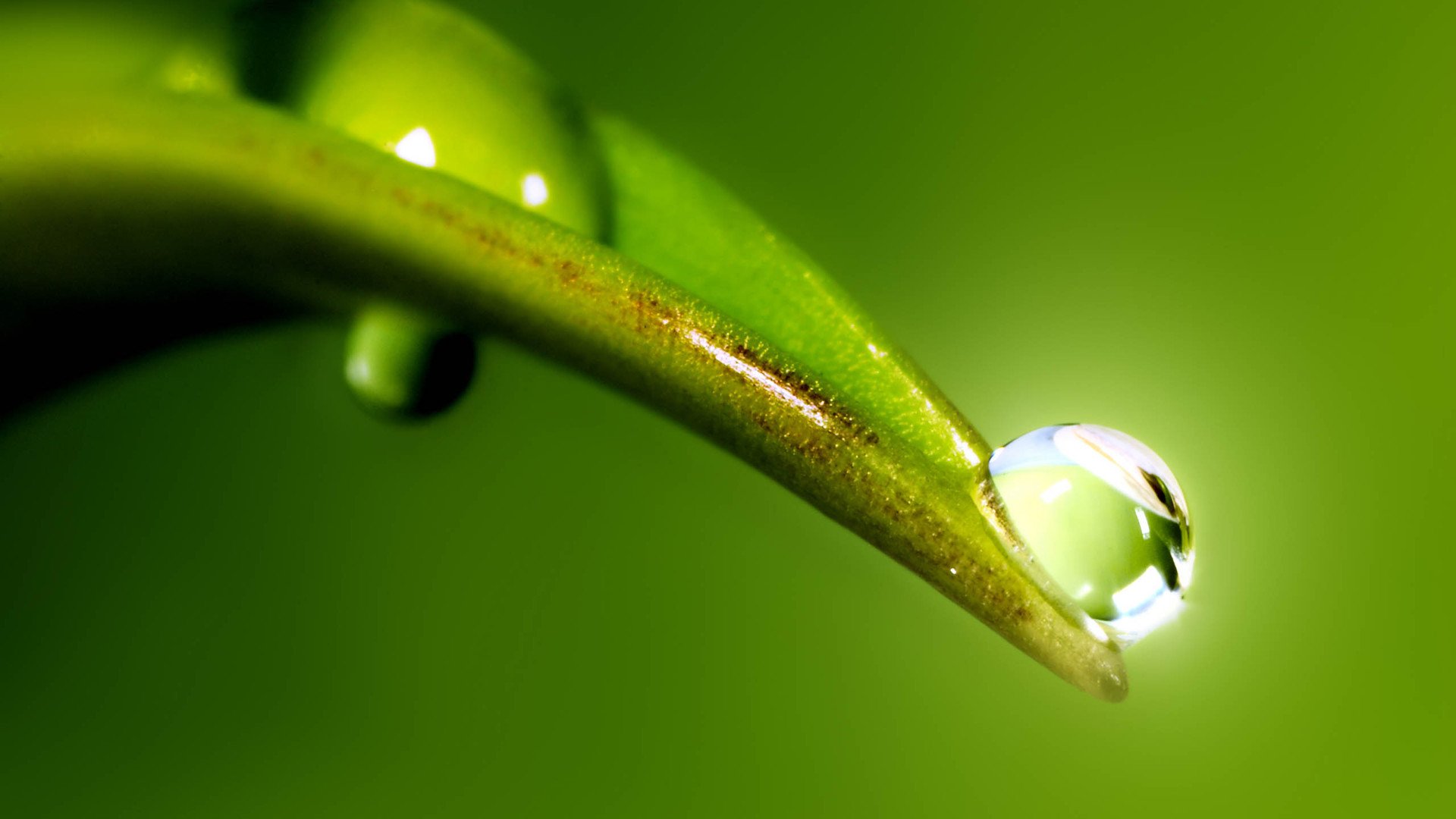 小清新,护眼壁纸,儿童桌面专用