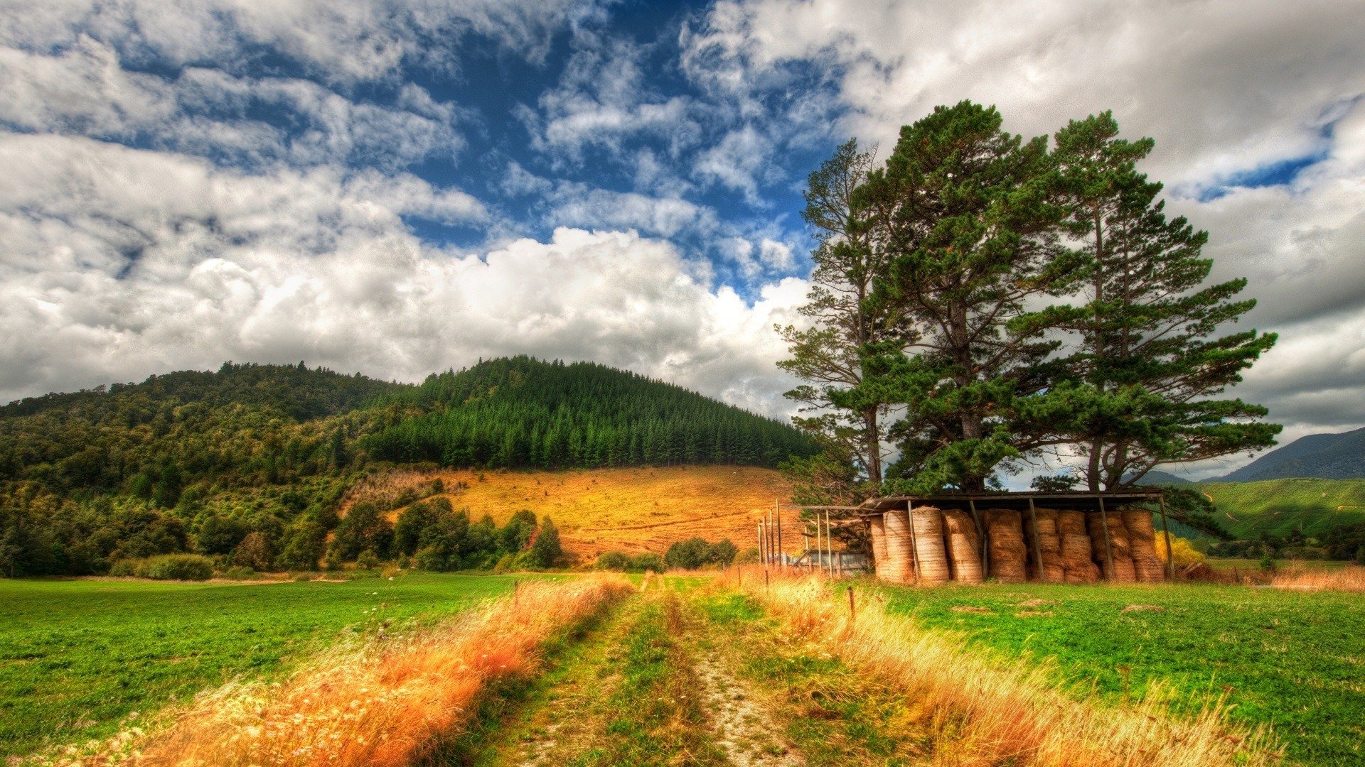 风景,风光,美景,旅游,自然,儿童桌面专用