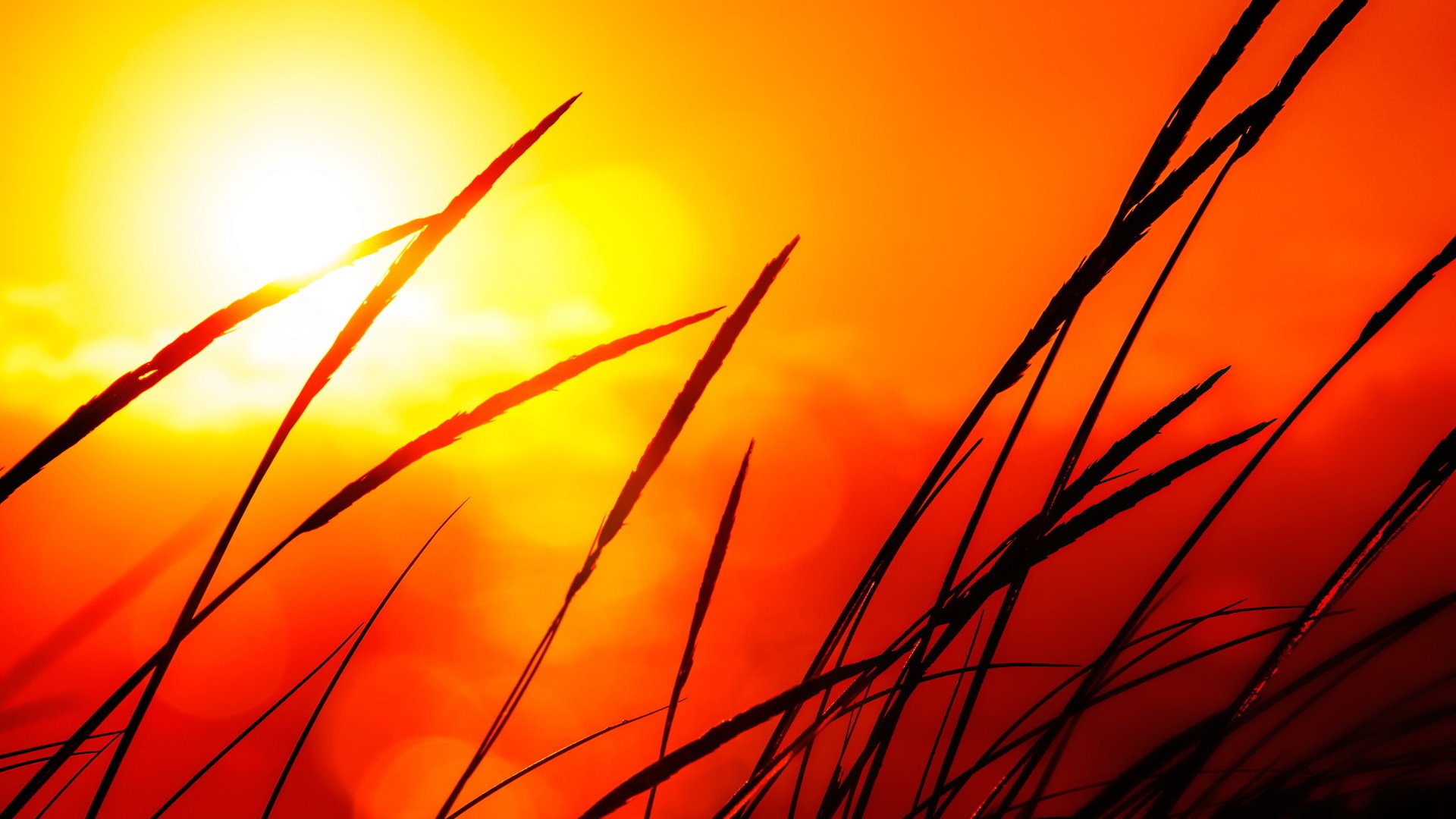 风景,落日余晖,儿童桌面专用