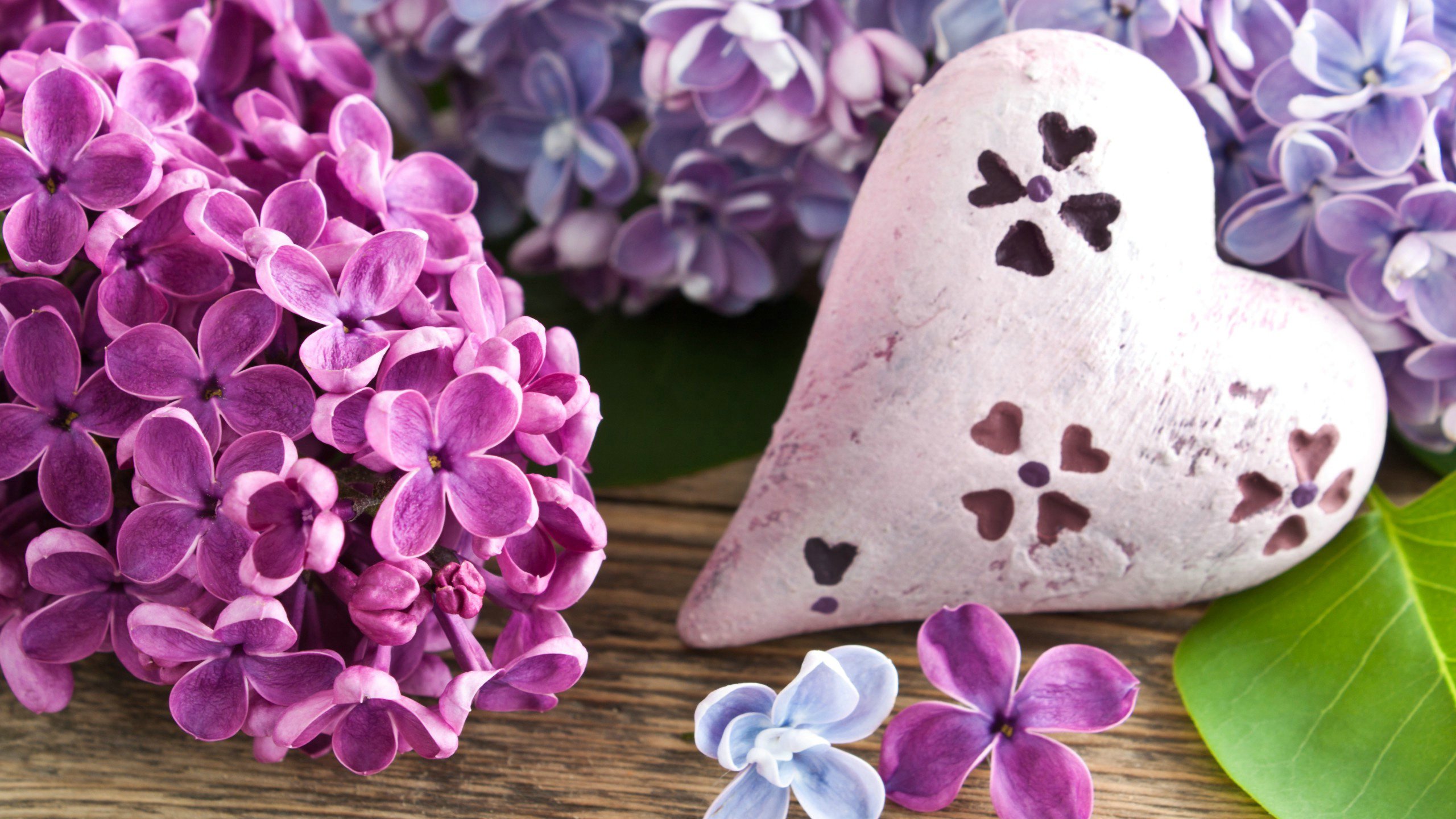 爱情美图,唯美温馨