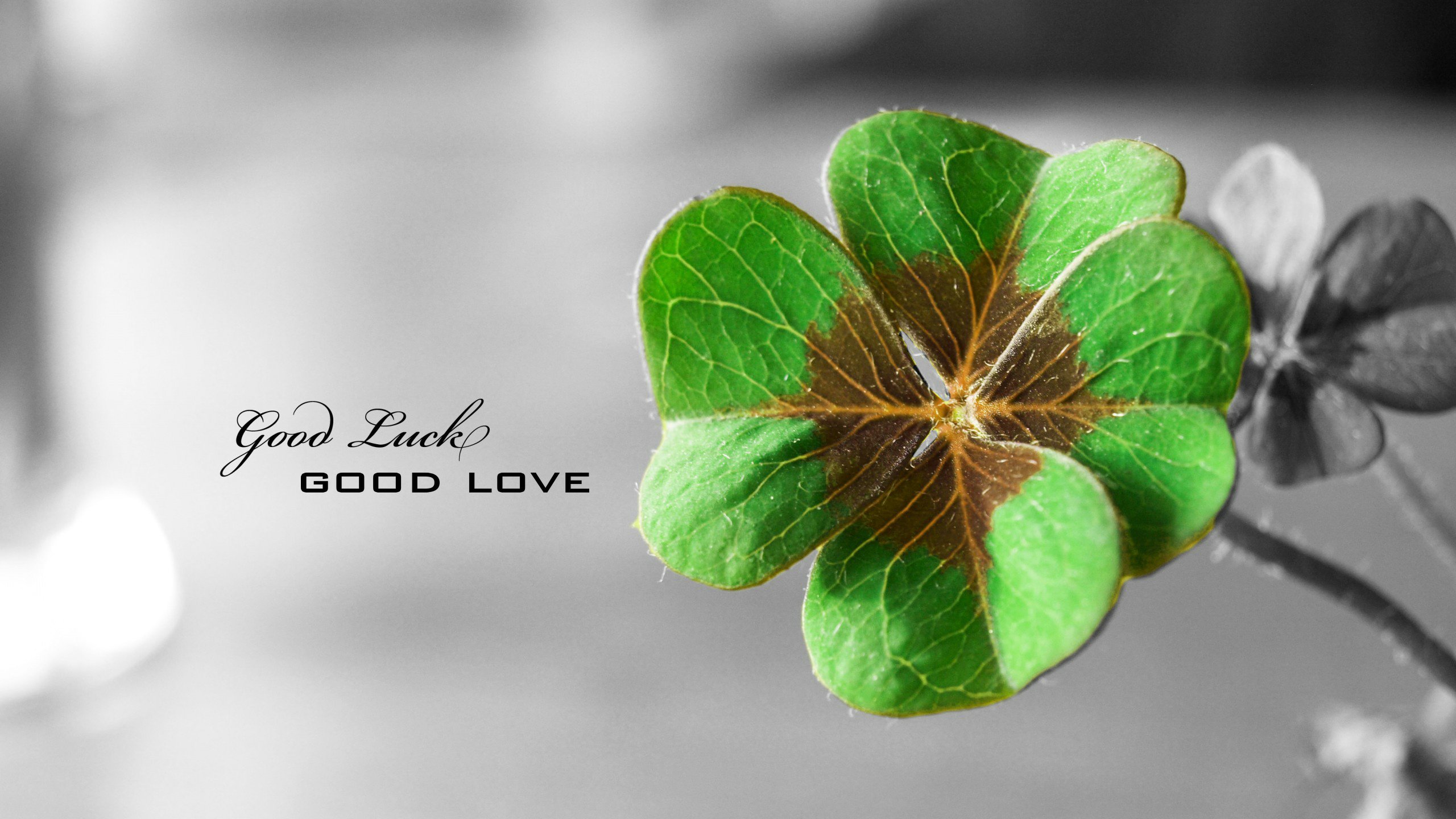 爱情美图,唯美温馨