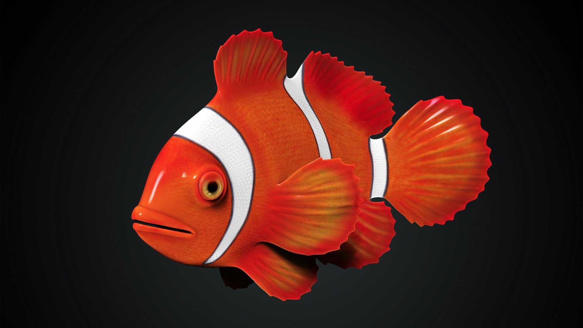 萌宠,海底世界,鱼,儿童桌面专用