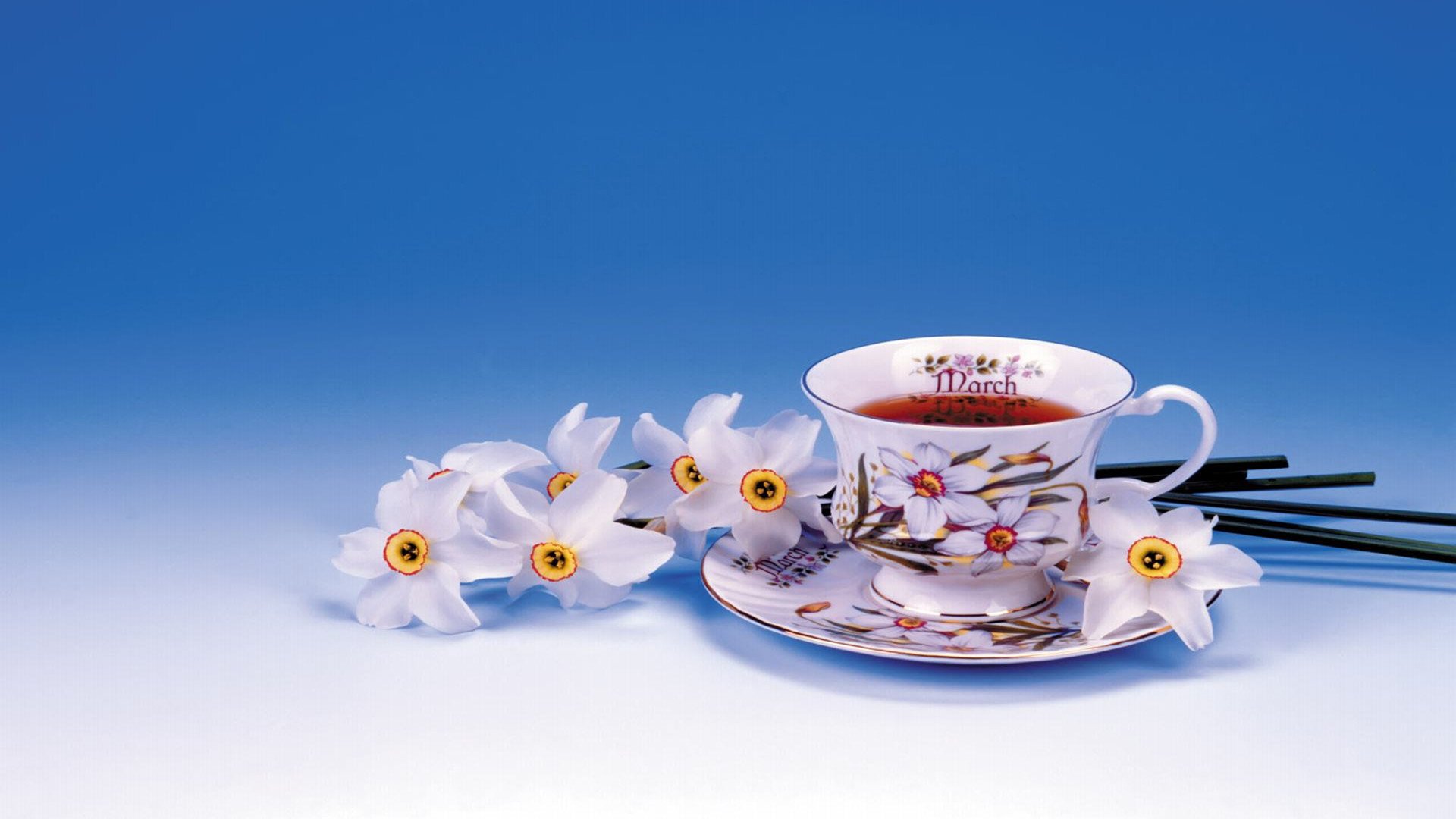 小清新,静物写真,3月5日,儿童桌面专用