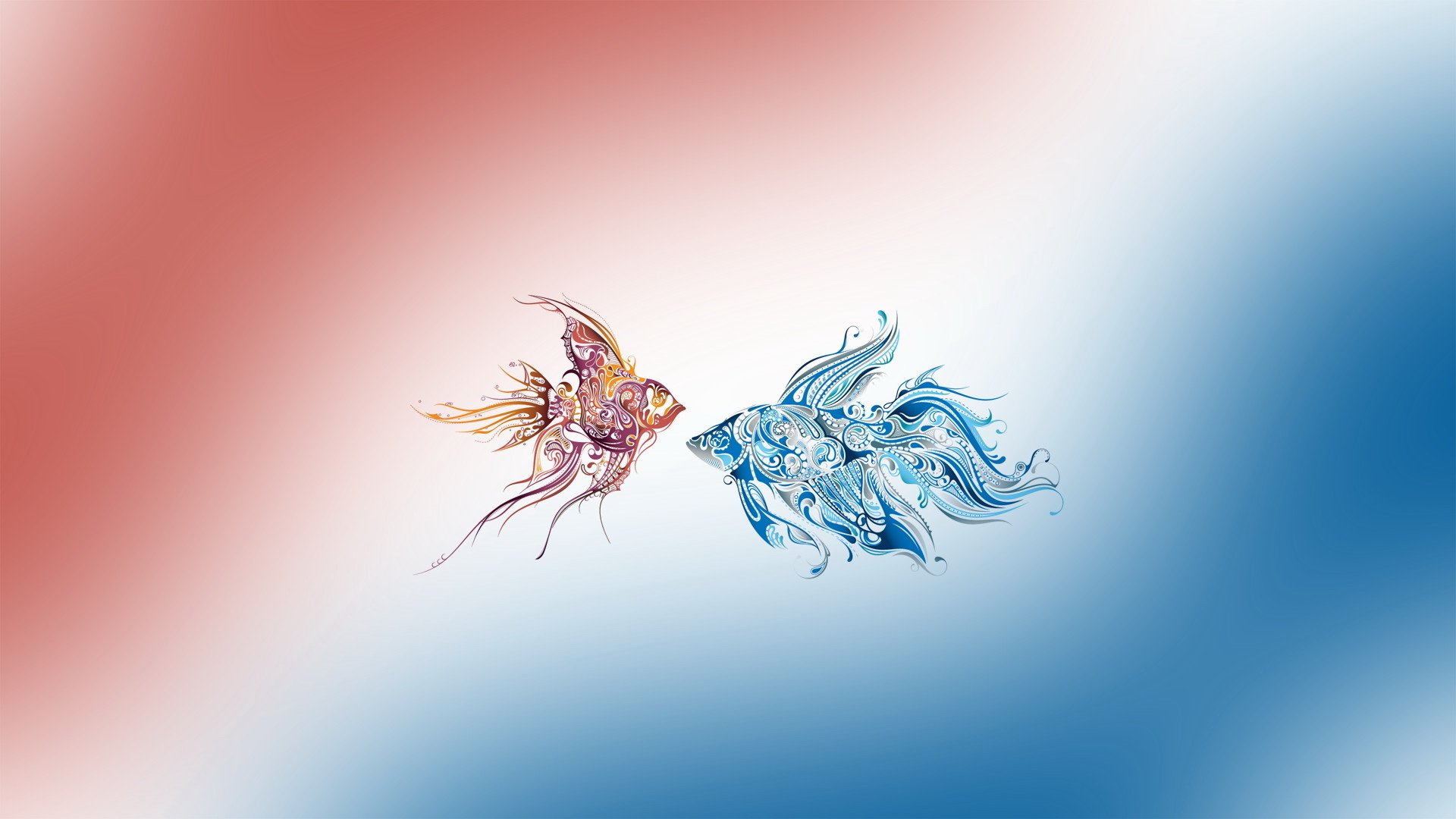 炫酷,设计,创意,鱼,3月7日,儿童桌面专用