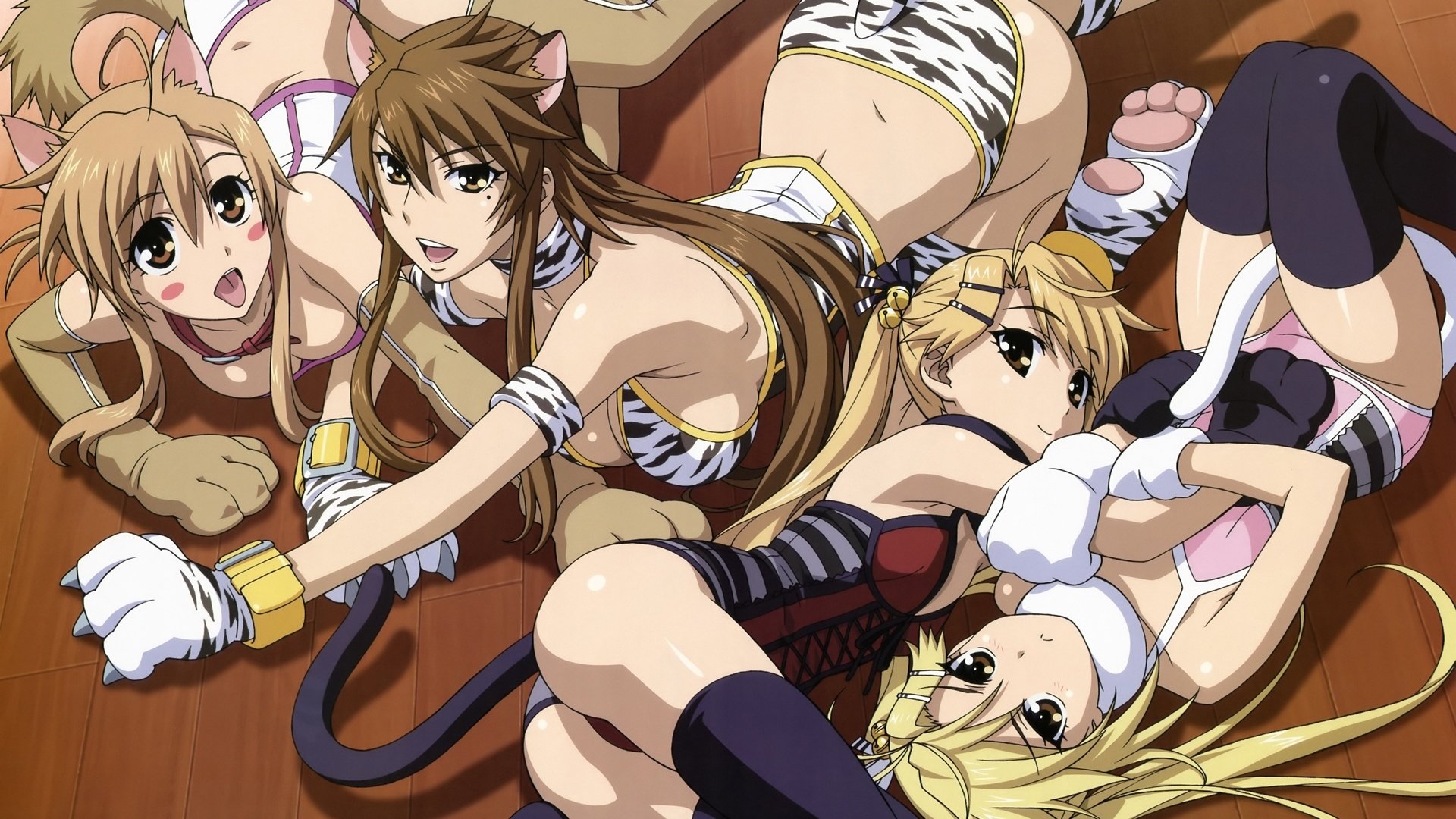 动漫,动漫少女,可爱,猫恋