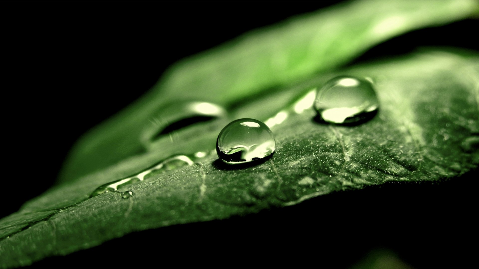 小清新,护眼壁纸,舒缓压力,儿童桌面专用