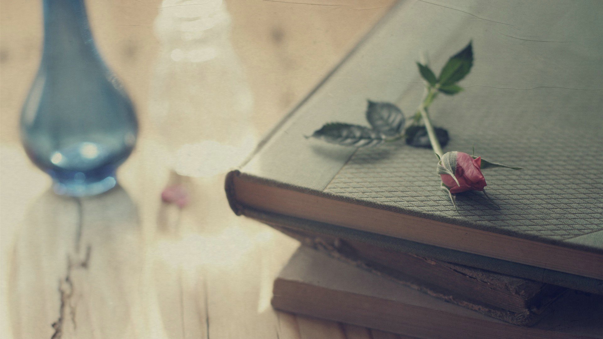 爱情美图,唯美温馨,玫瑰