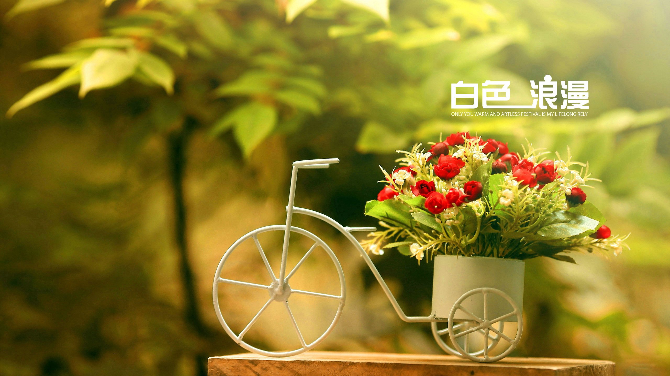 爱情美图,唯美温馨,白色情人节,3.14,3月14日