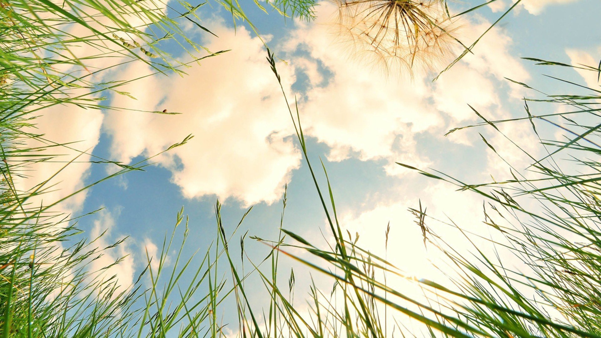 小清新,舒缓压力,蓝天白云,儿童桌面专用