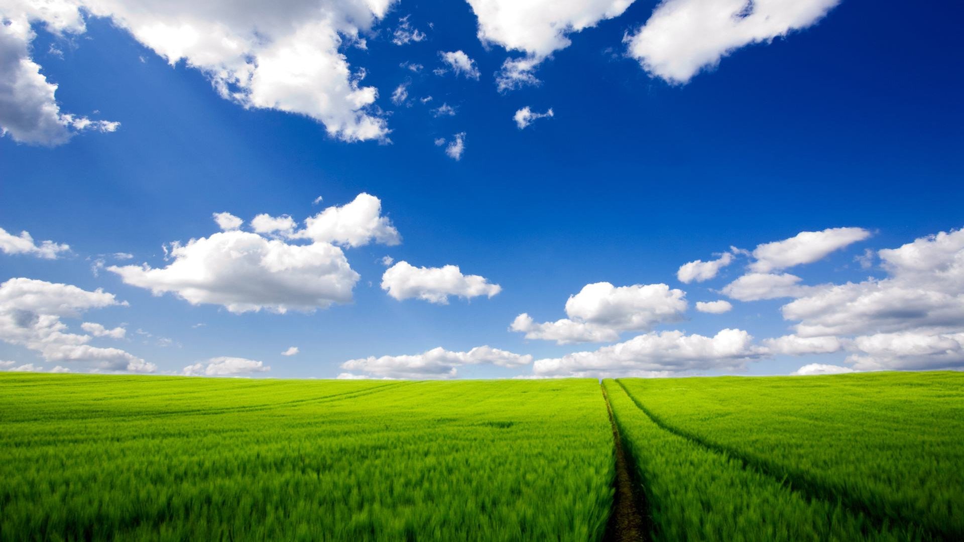 小清新,舒缓压力,蓝天白云,3月5日,儿童桌面专用