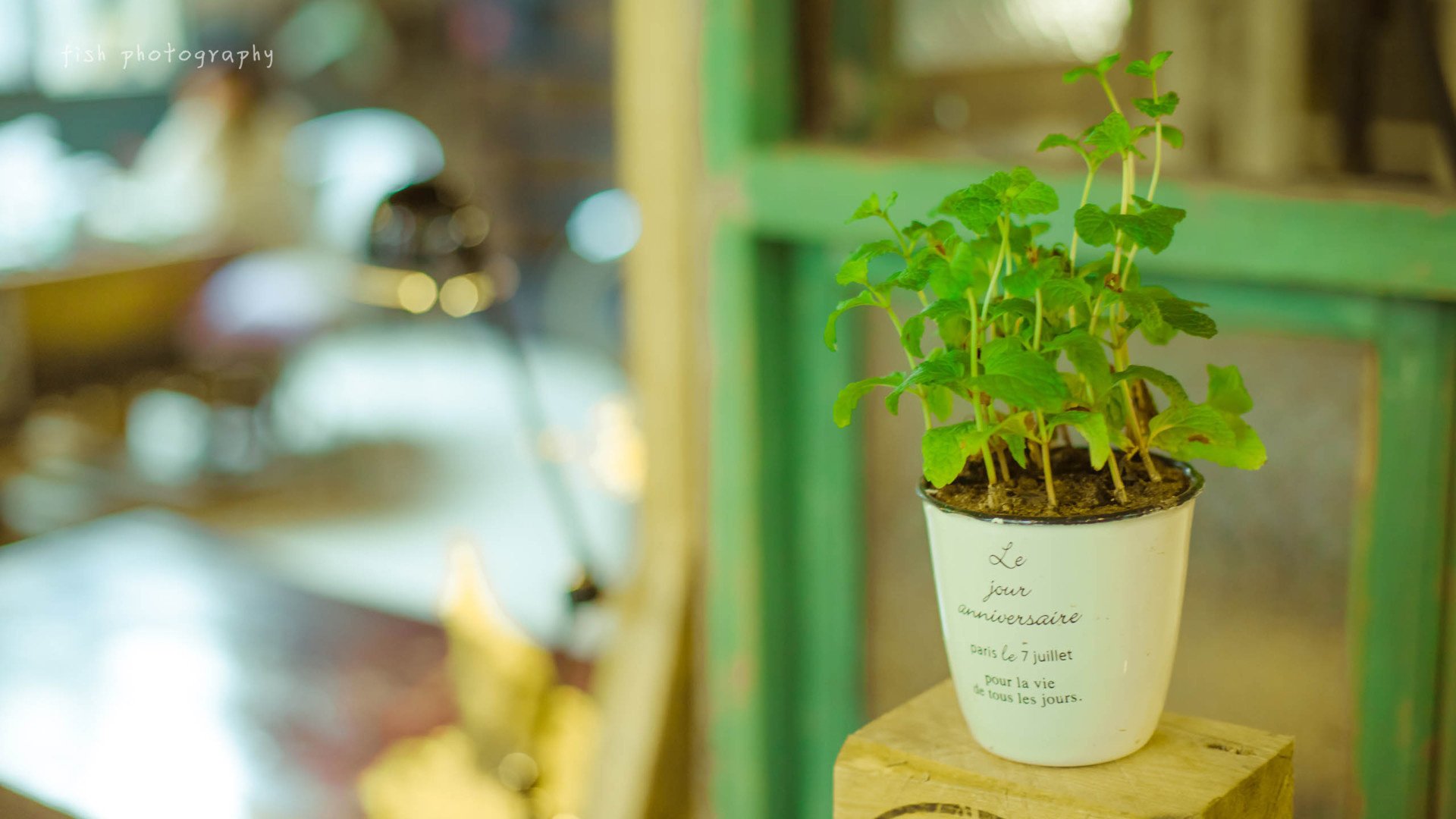 小清新,温馨一刻,儿童桌面专用