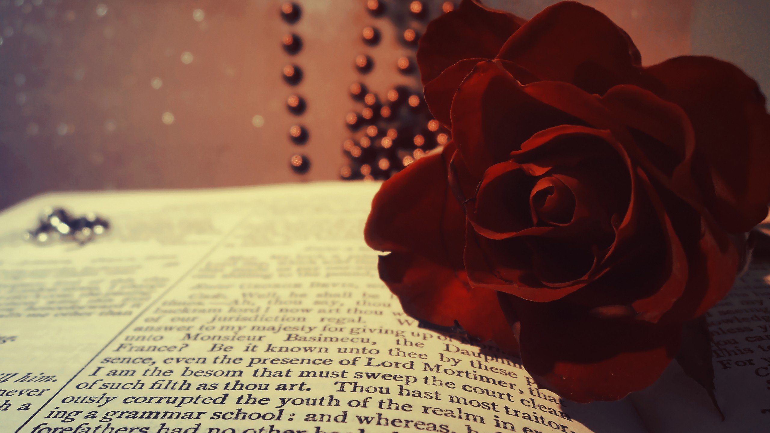 爱情美图,唯美温馨,玫瑰