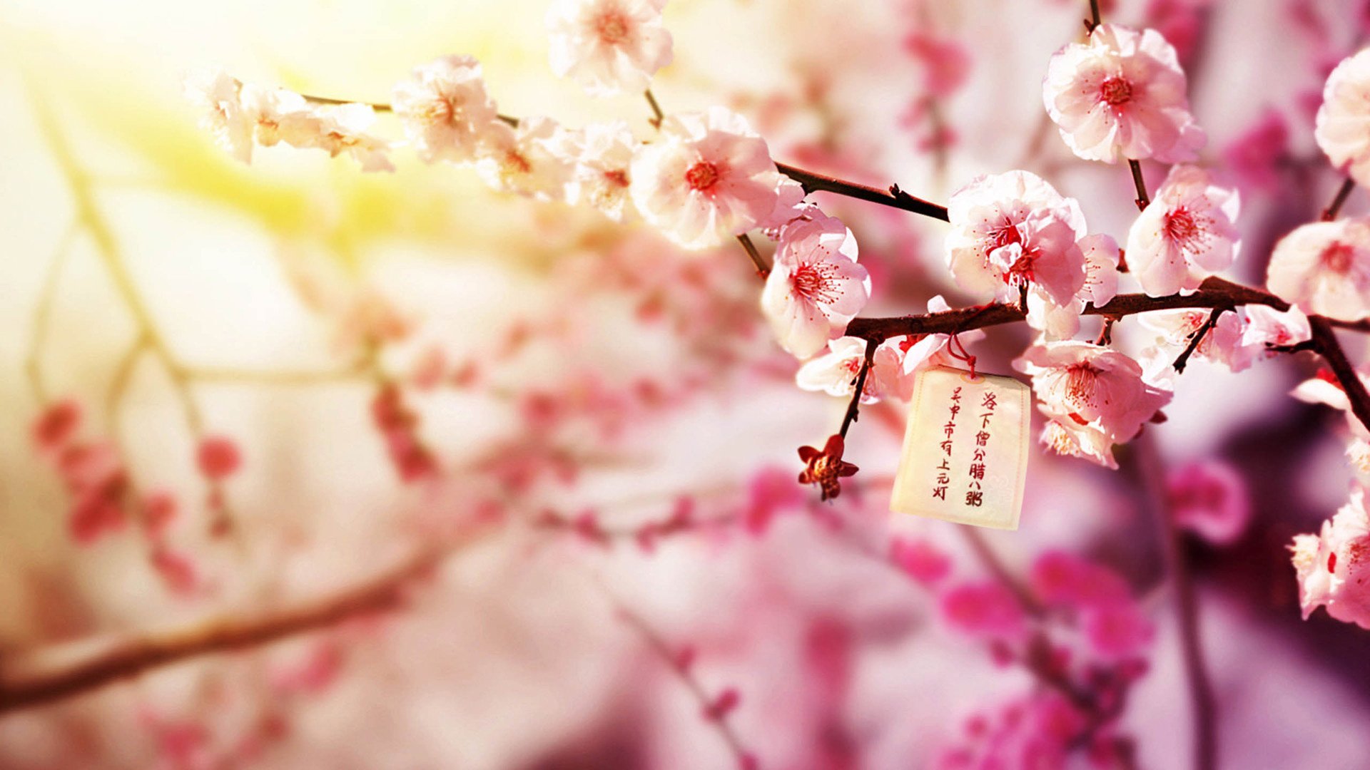 小清新,温馨一刻,儿童桌面专用