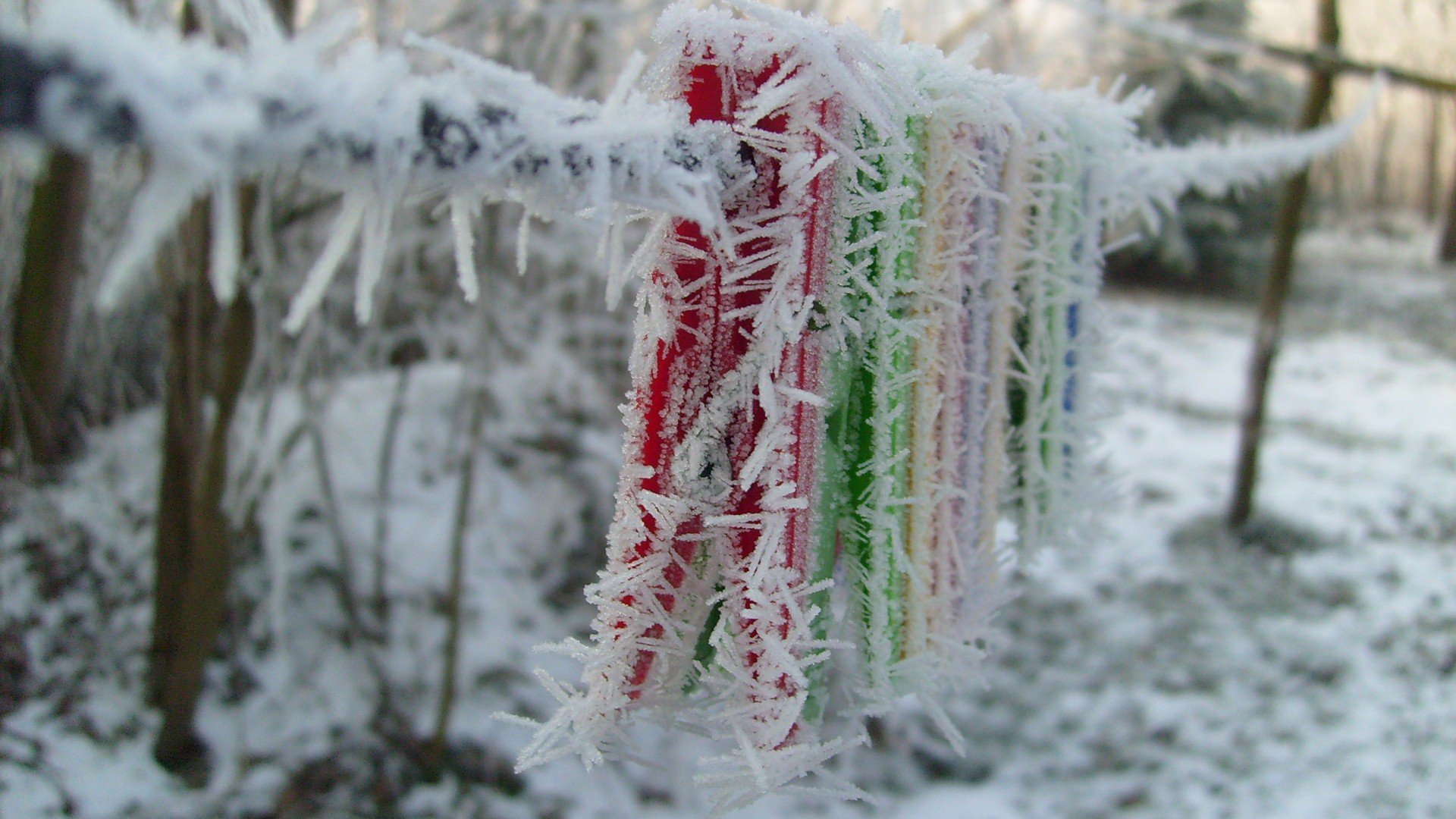 小清新,静物写真,3月7日,儿童桌面专用