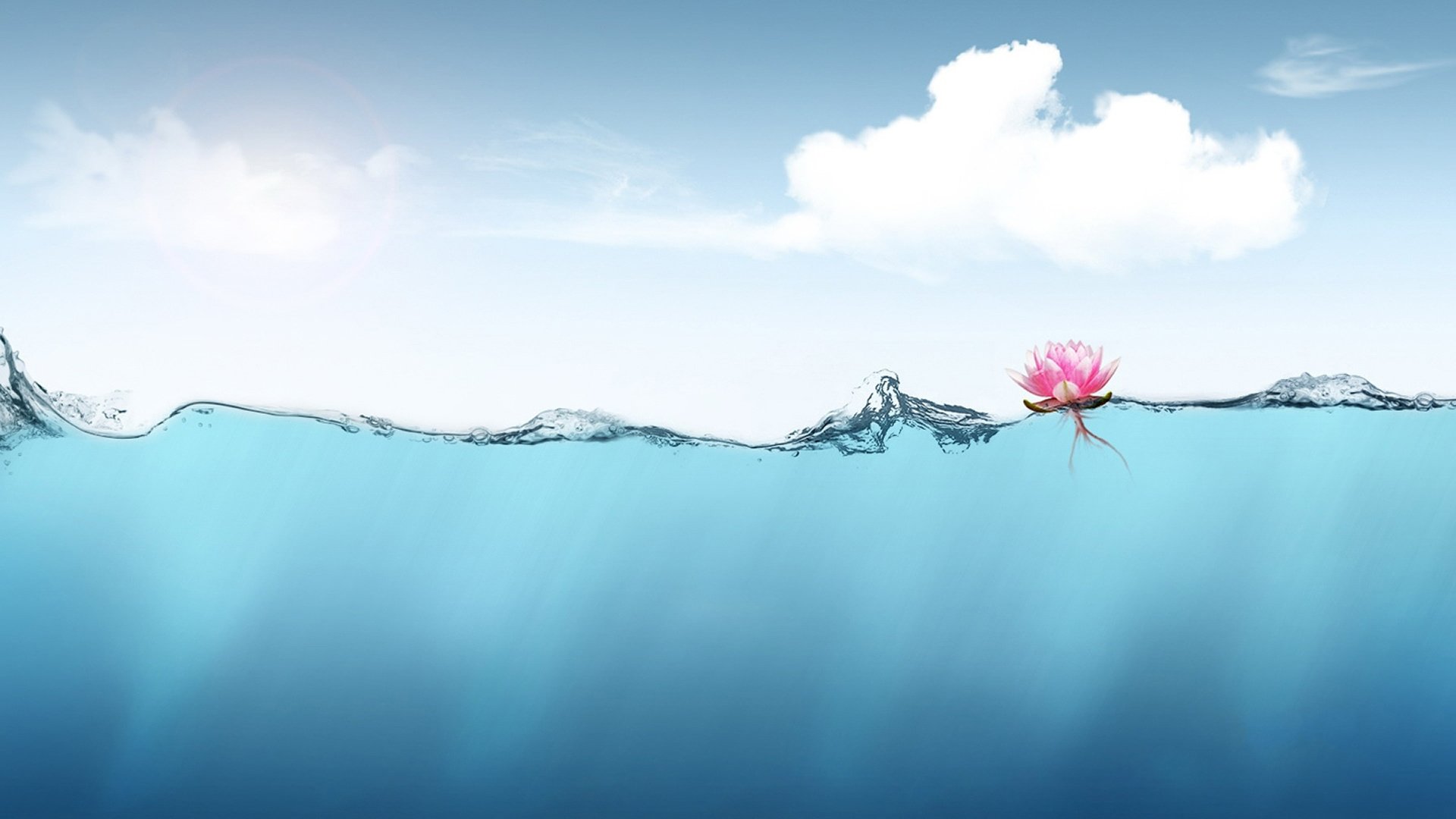 小清新,清新淡雅,花卉,3月4日,儿童桌面专用