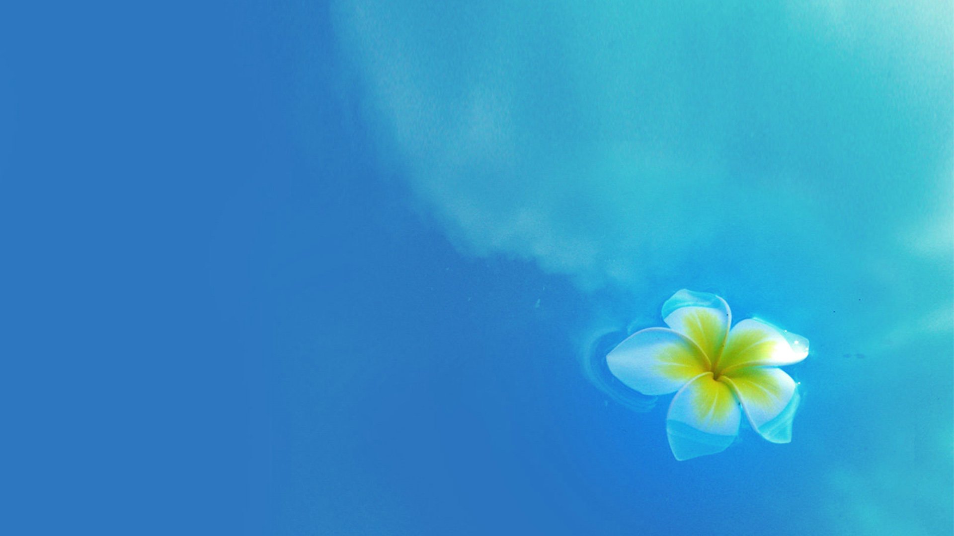 小清新,清新淡雅,舒缓压力,护眼壁纸,儿童桌面专用