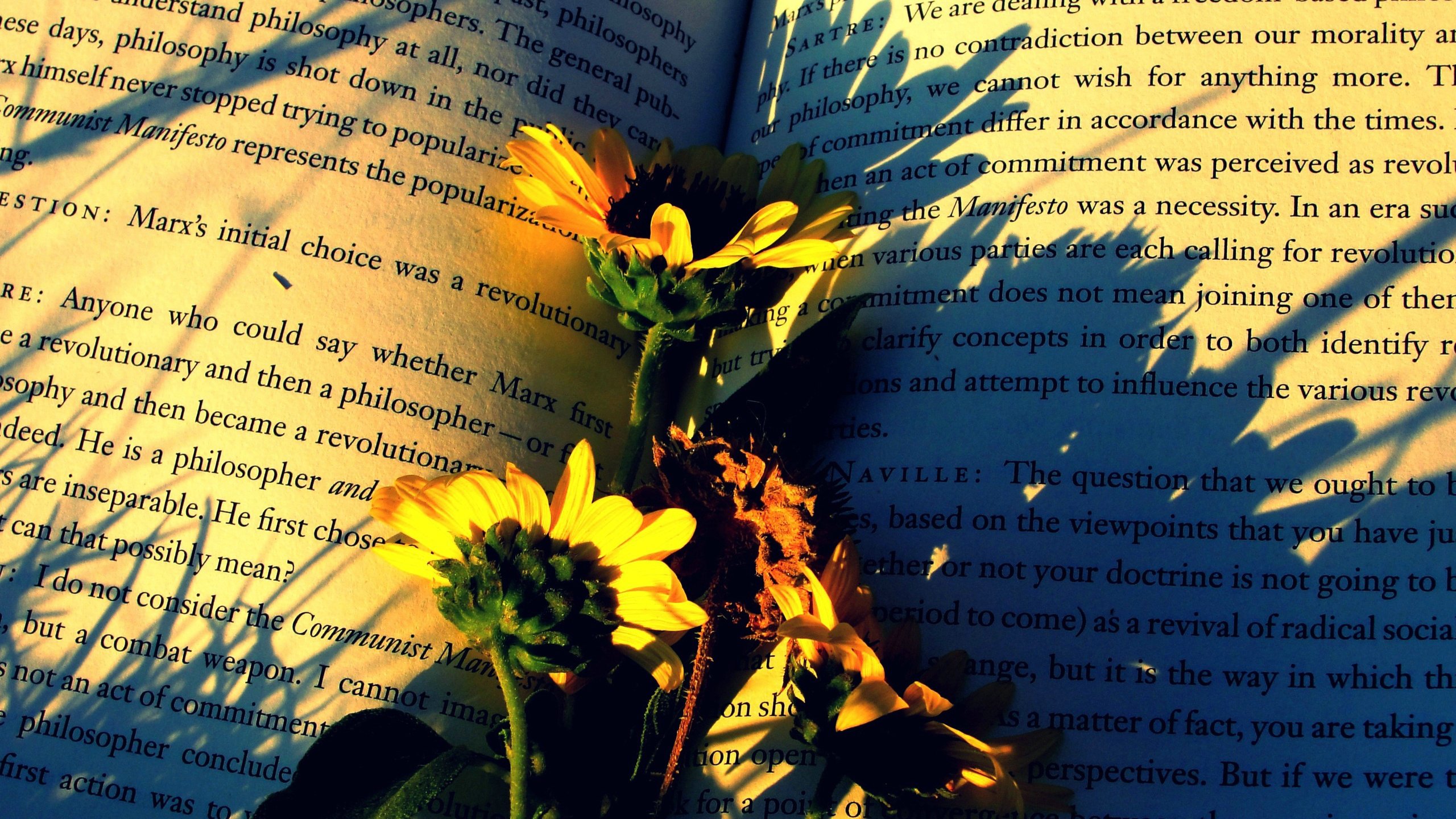 小清新,温馨一刻,儿童桌面专用