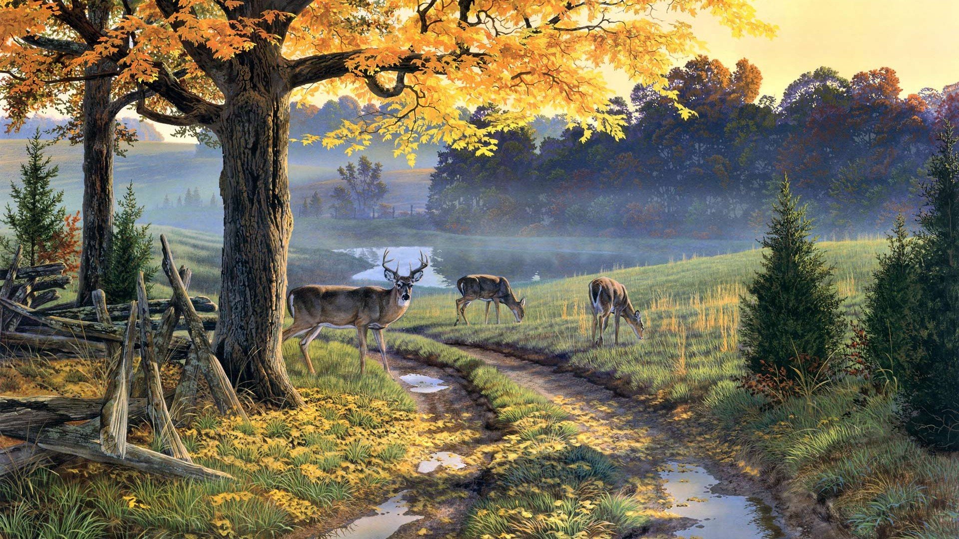 动漫,卡通,绘画,乡村,唯美乡村绘画,儿童桌面专用