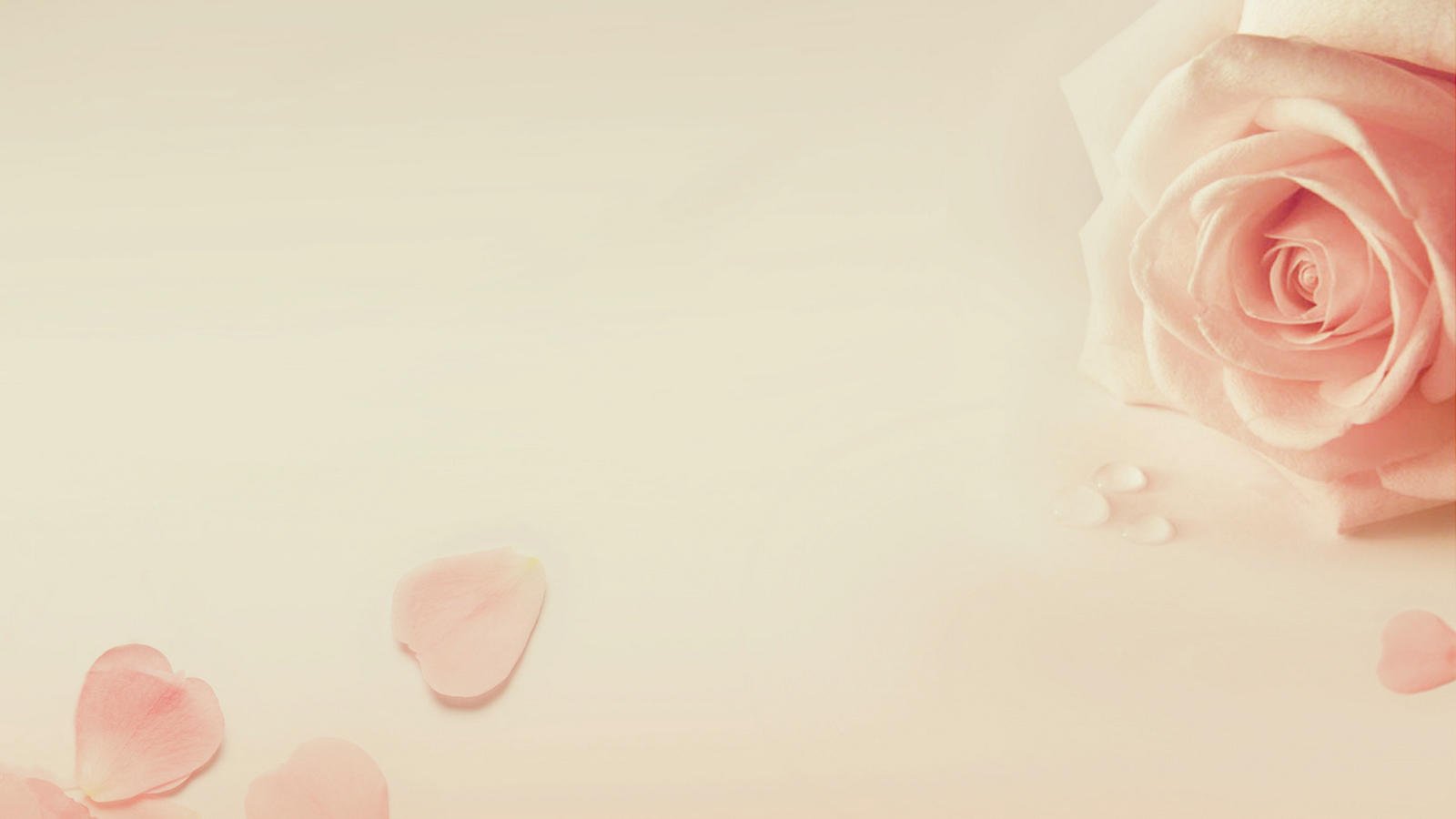 爱情美图,唯美温馨,玫瑰