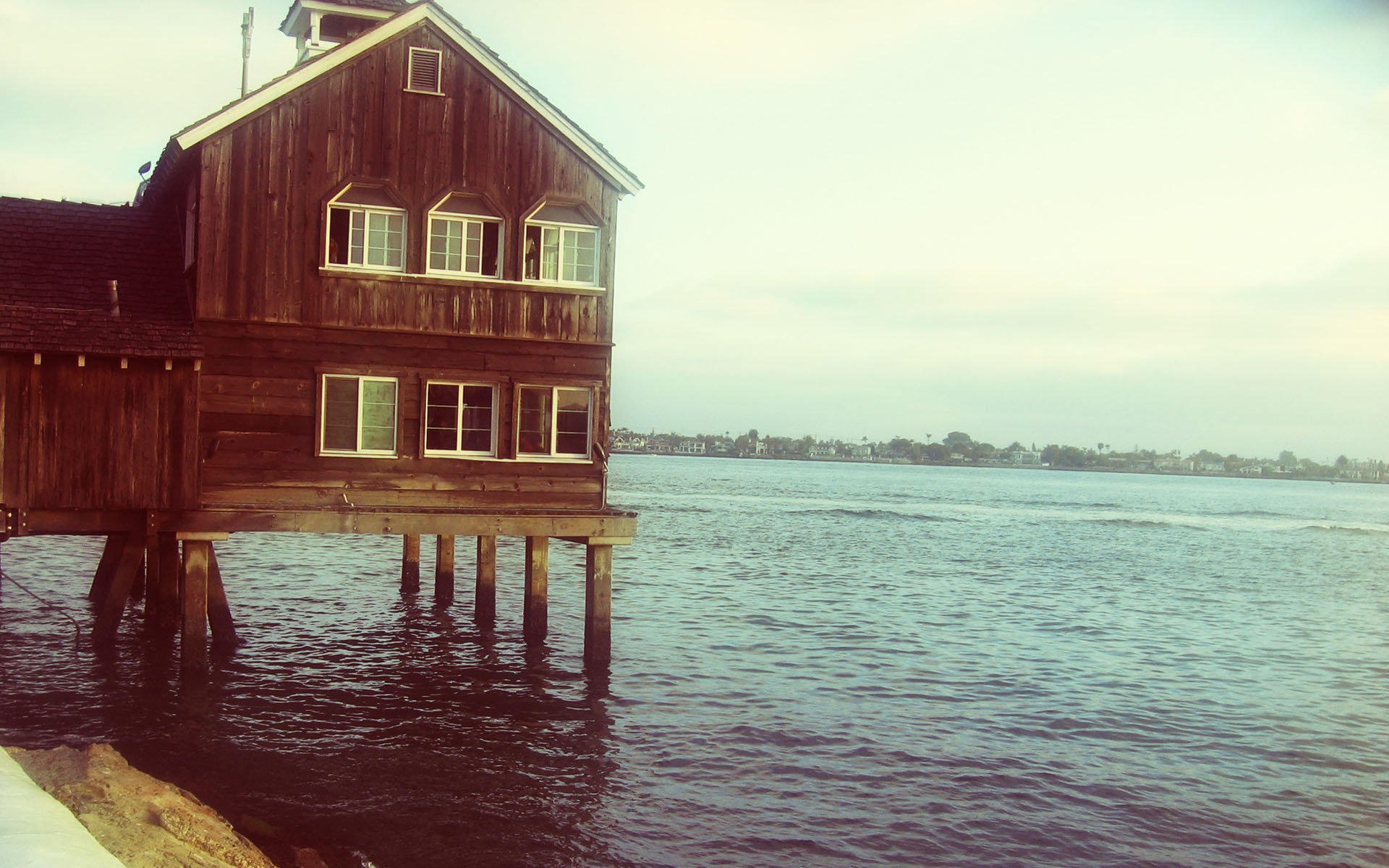 小清新,清新淡雅,3月7日,儿童桌面专用