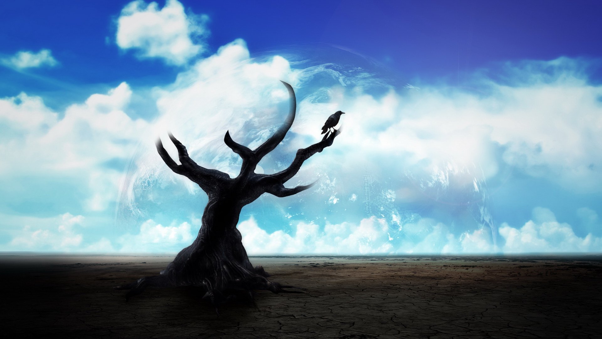 小清新,清新淡雅,3月5日,儿童桌面专用