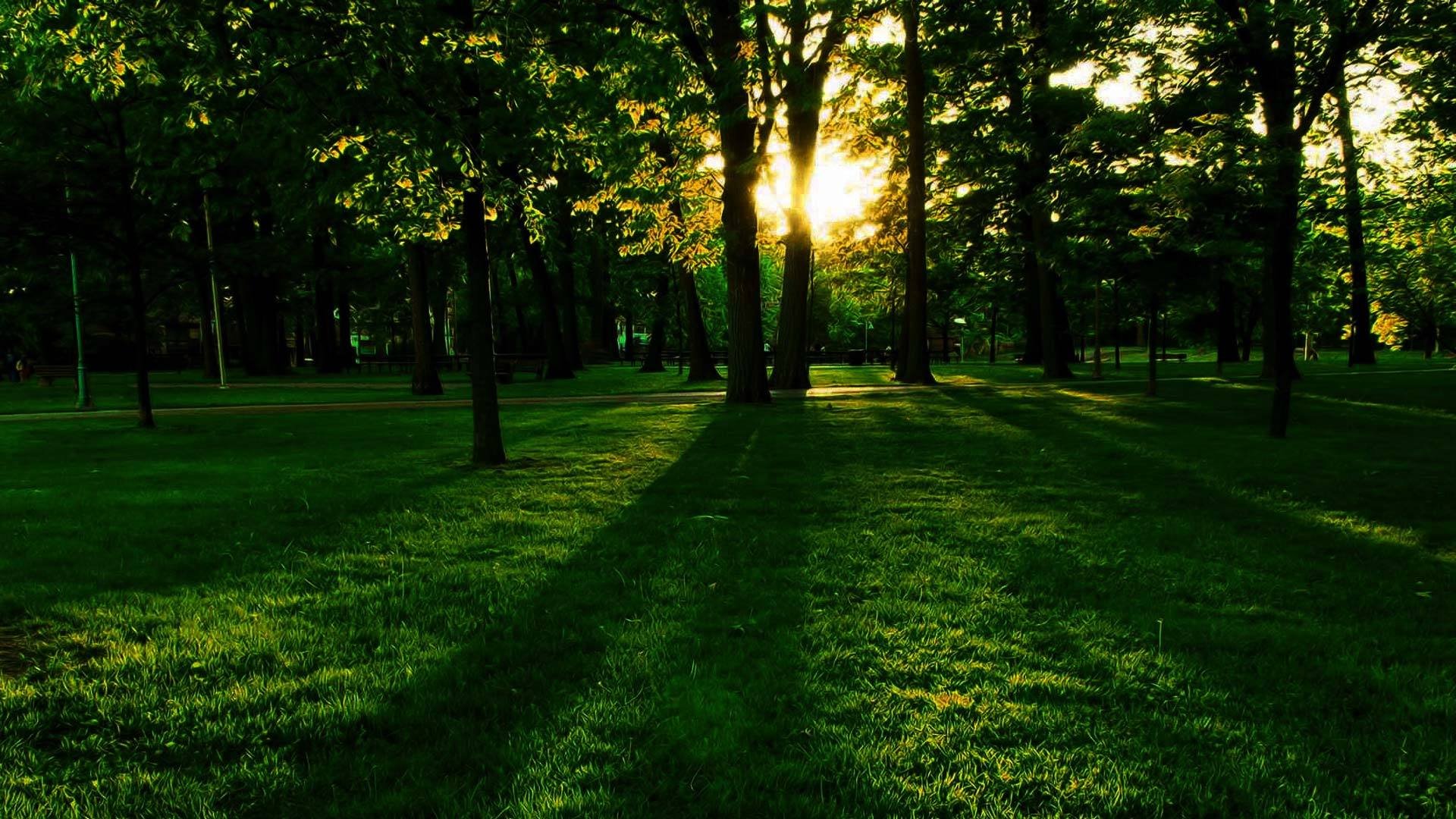 小清新,护眼壁纸,绿色,3月6日,儿童桌面专用